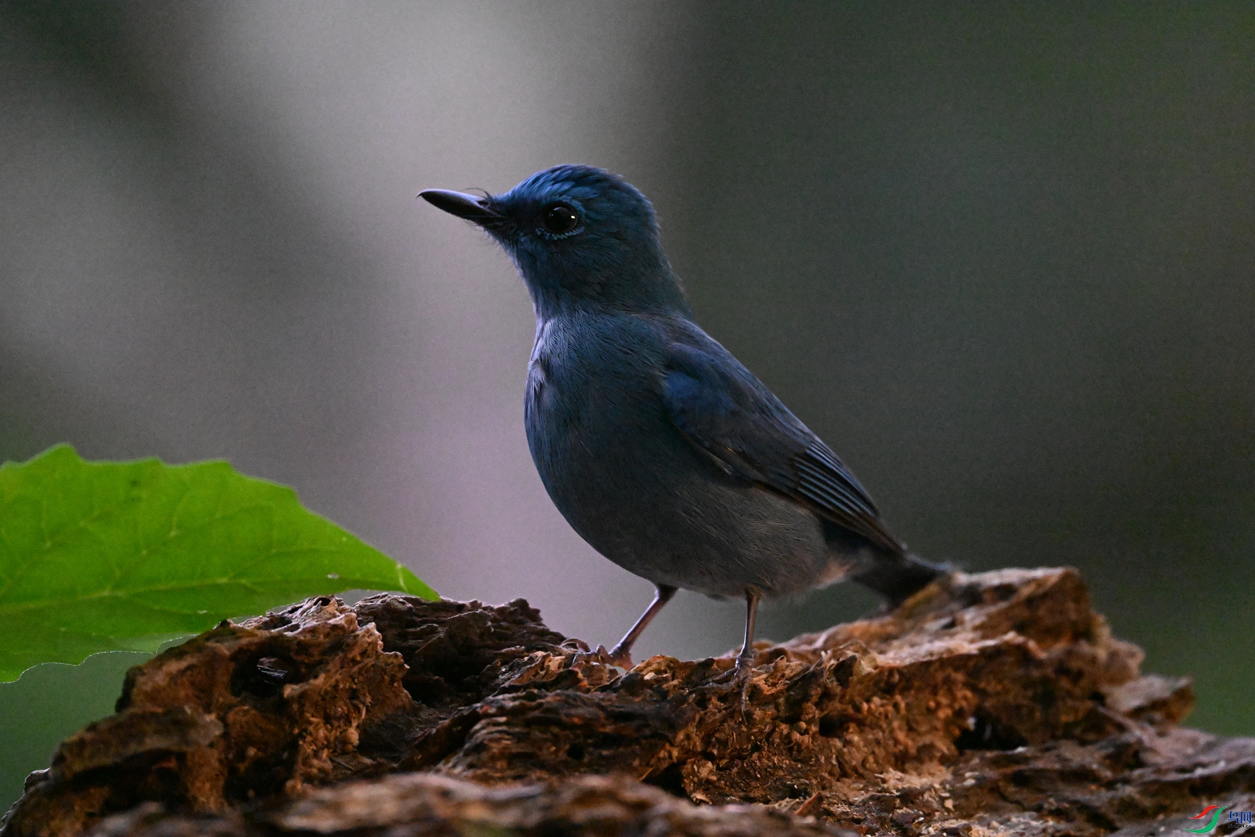 DSC_6996.JPG