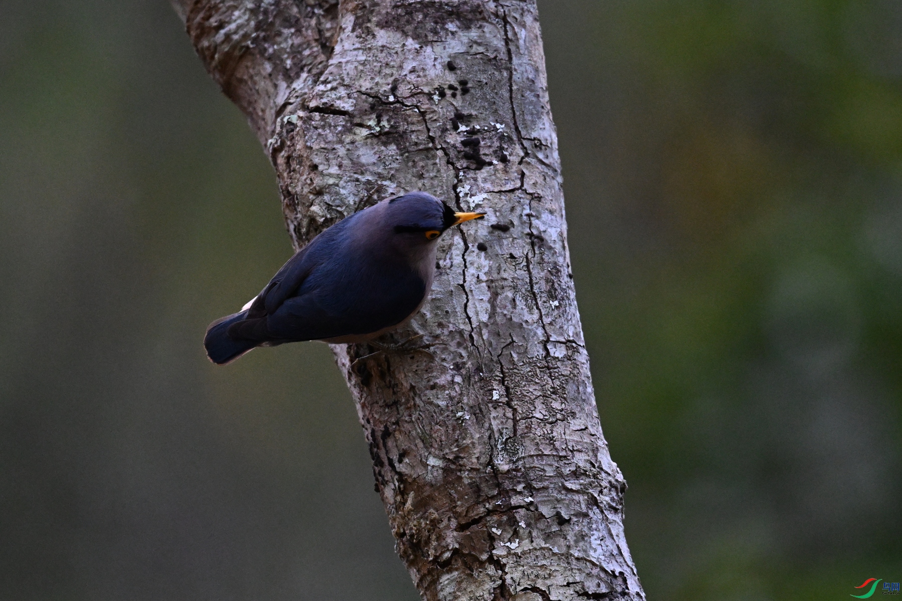 DSC_7013.JPG