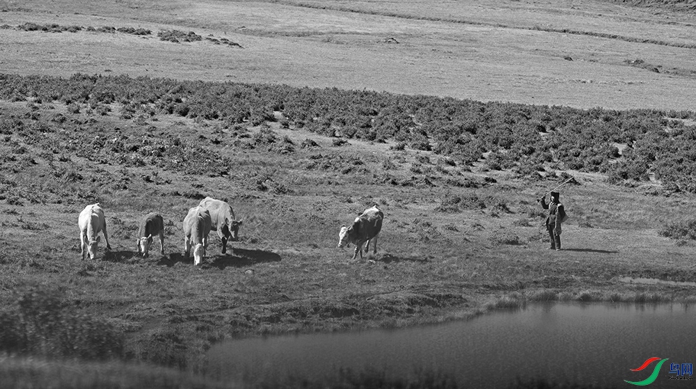 DSCF0008.1.jpg