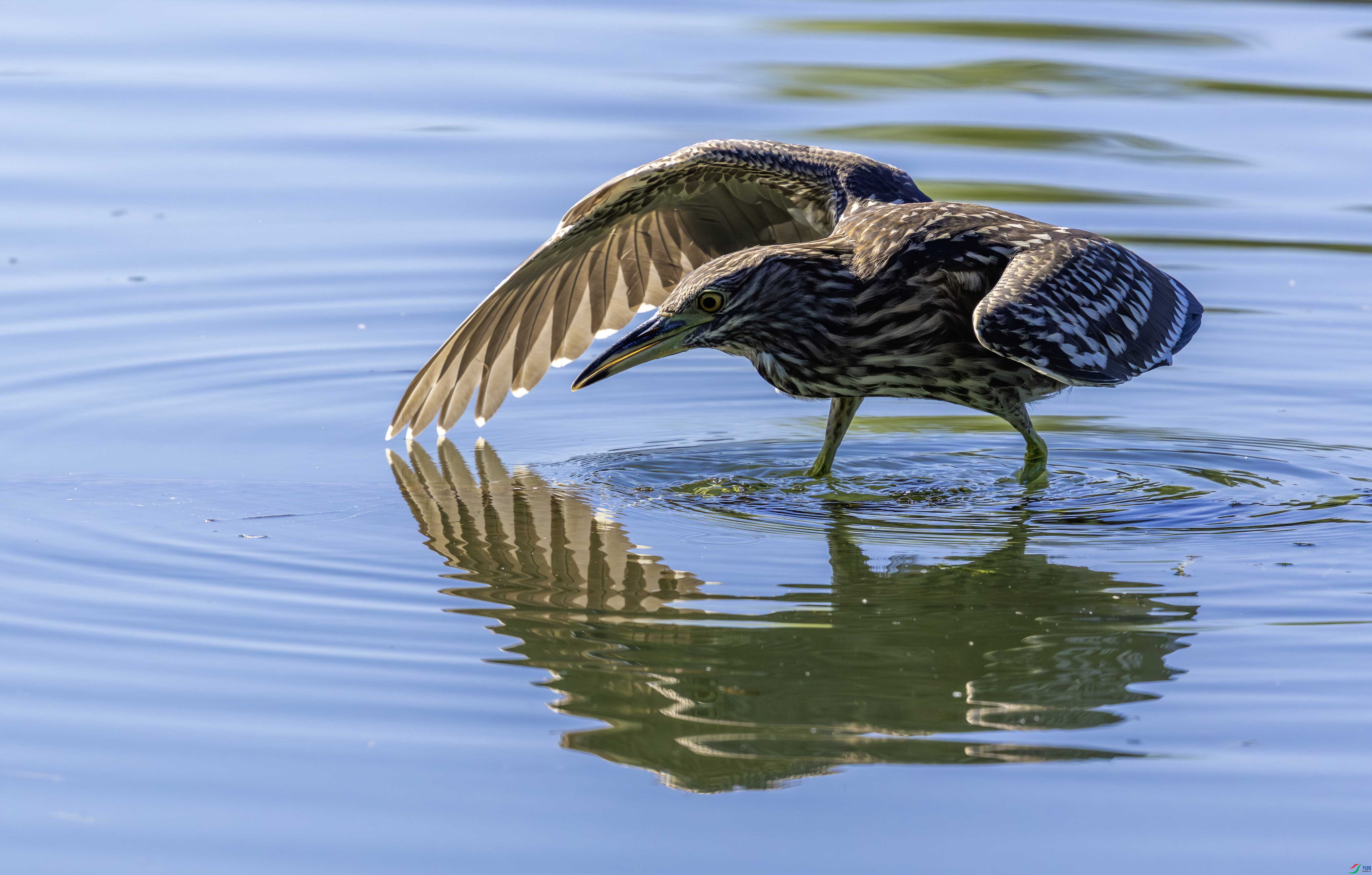 5N2A3958-1 ���� 2.jpg