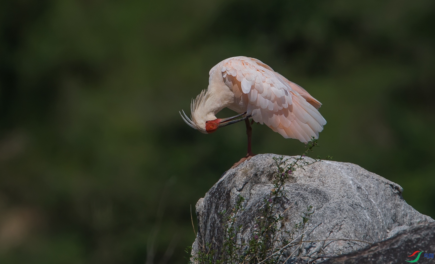 DSC_64352.jpg