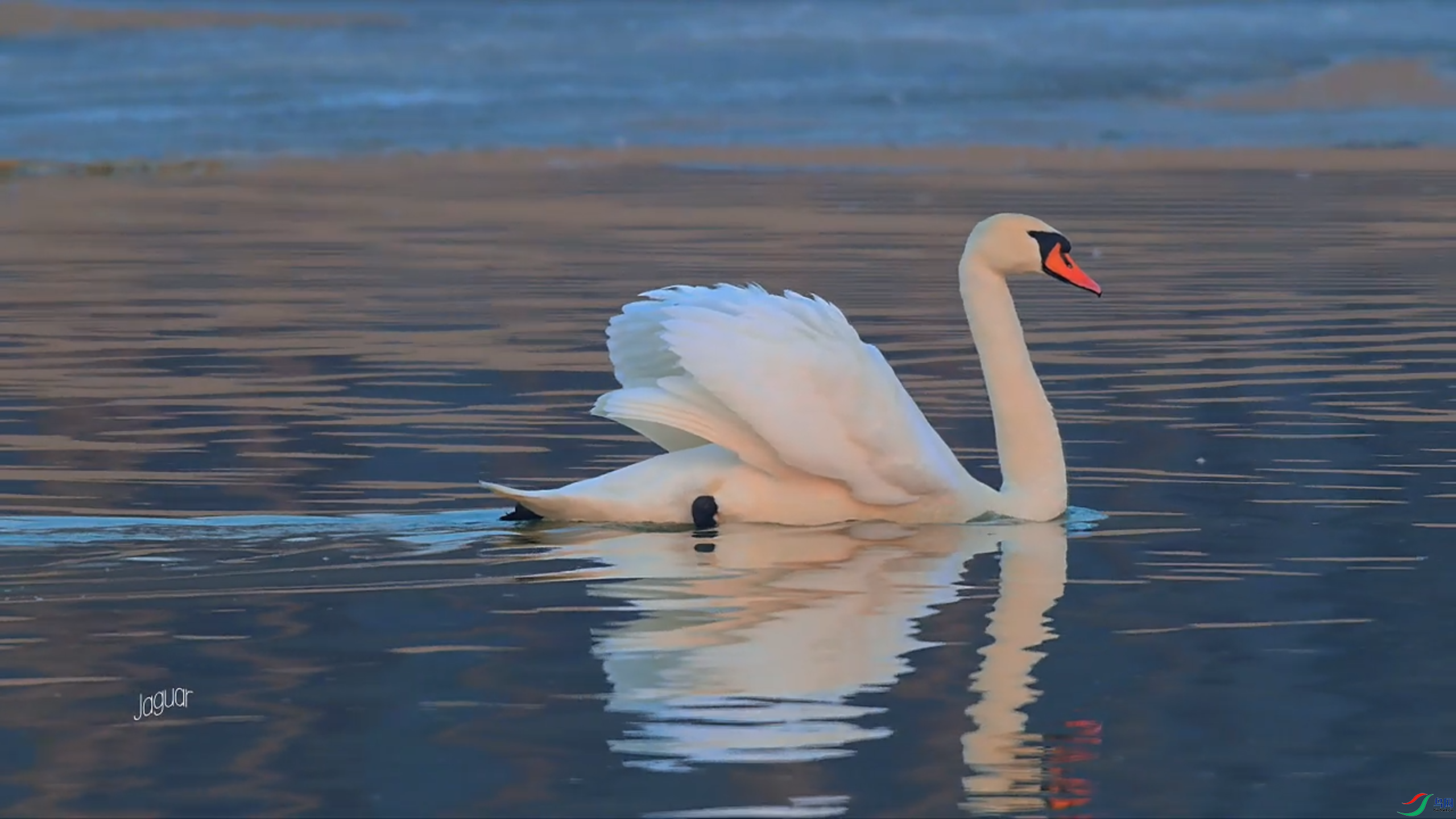 3��20�� (2).png