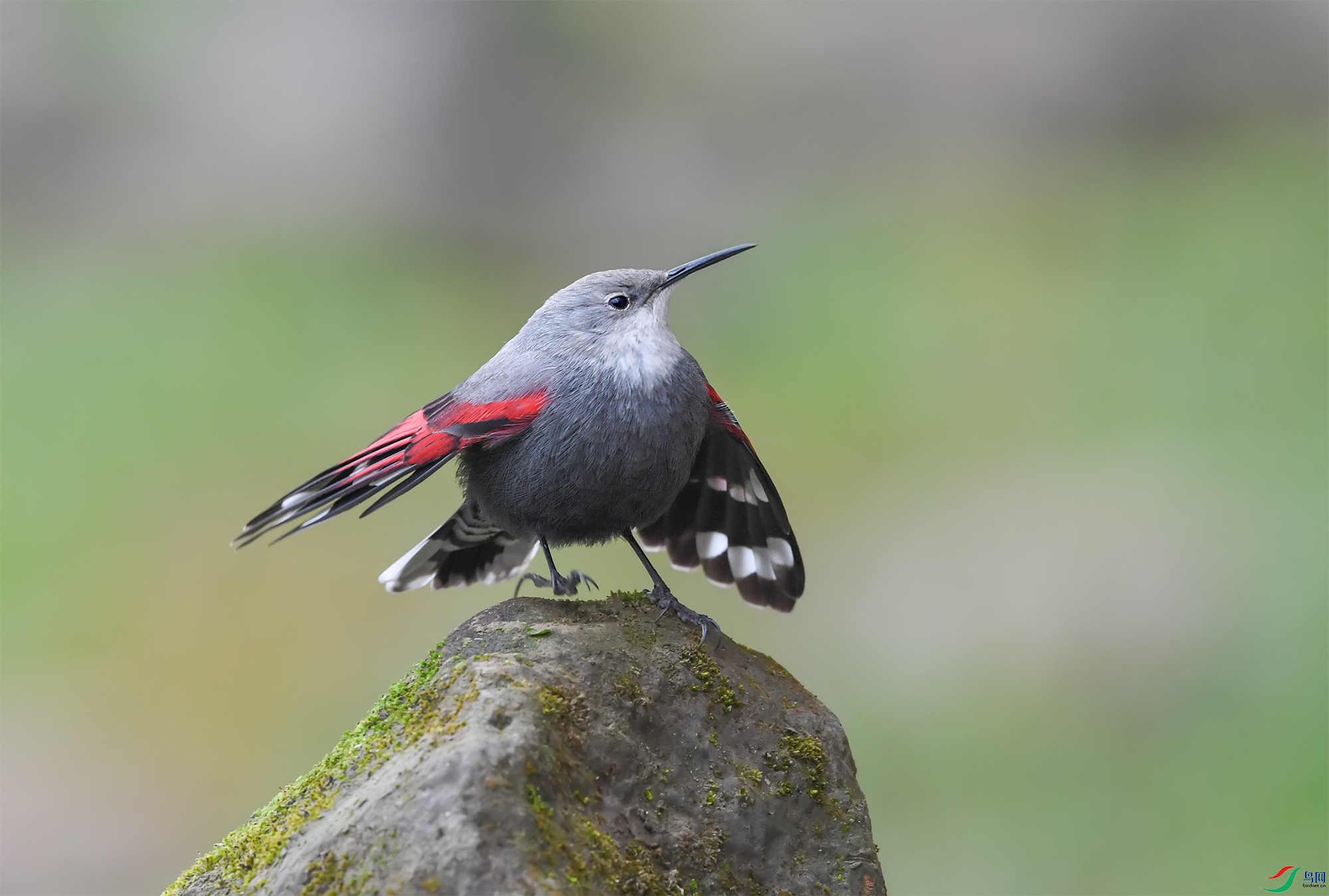 DSC_86211.jpg
