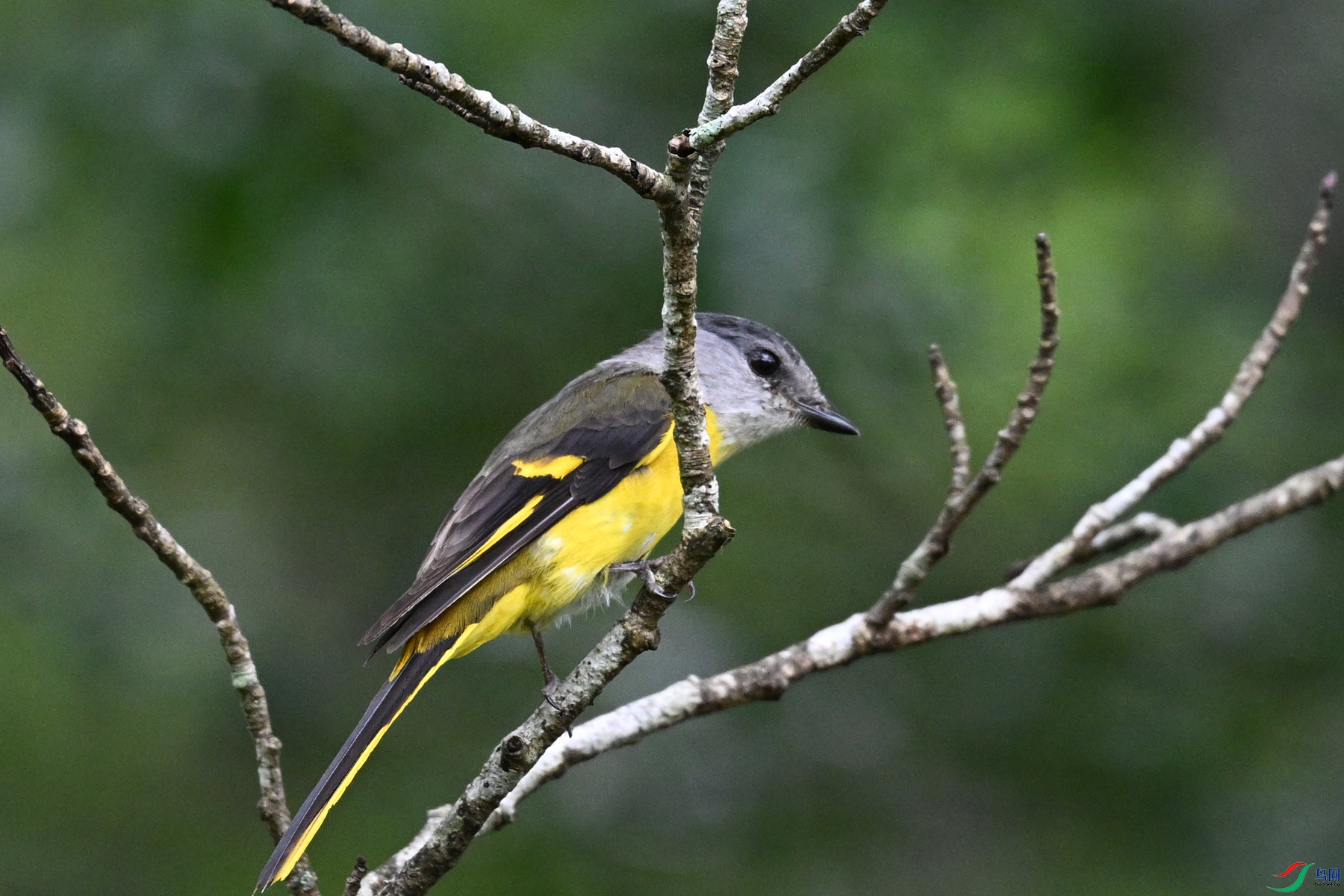 DSC_2861.JPG