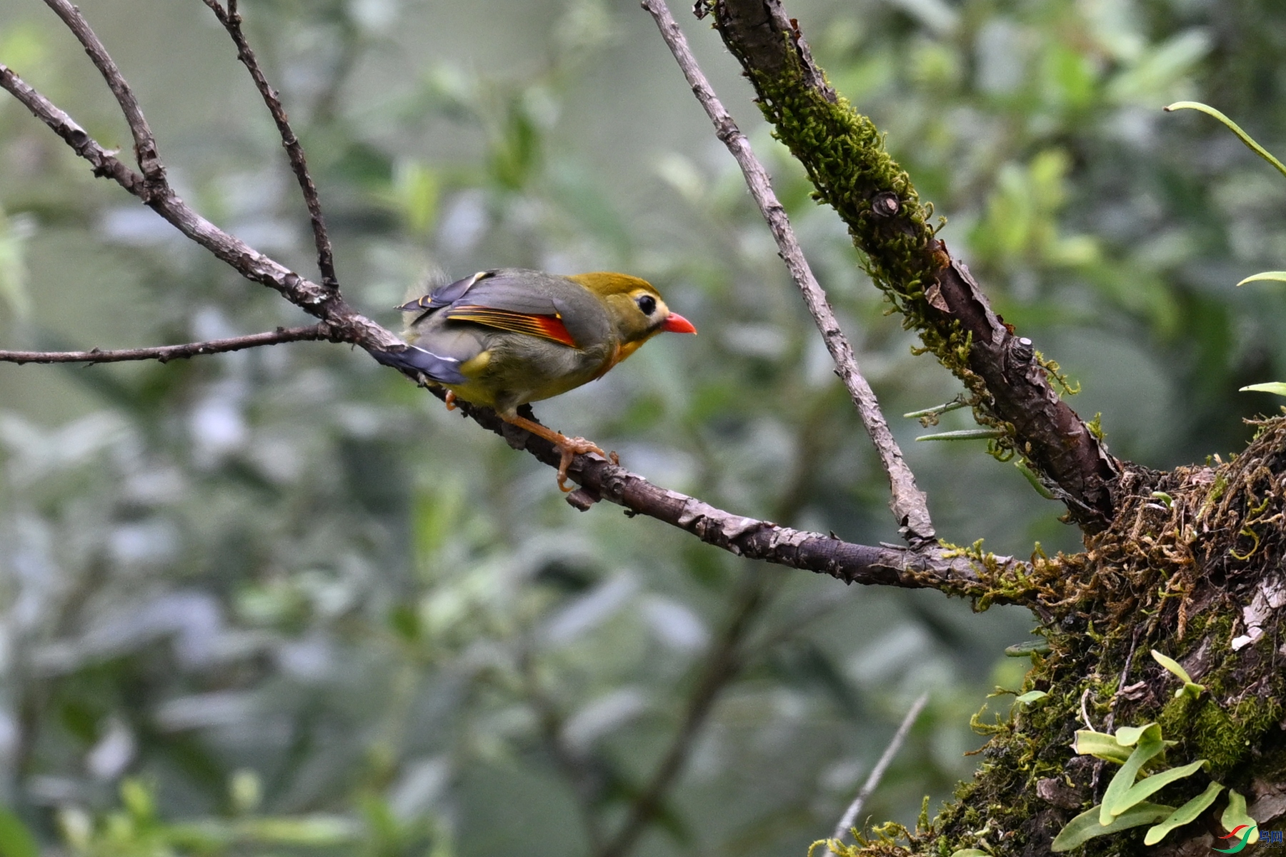 DSC_3002.JPG