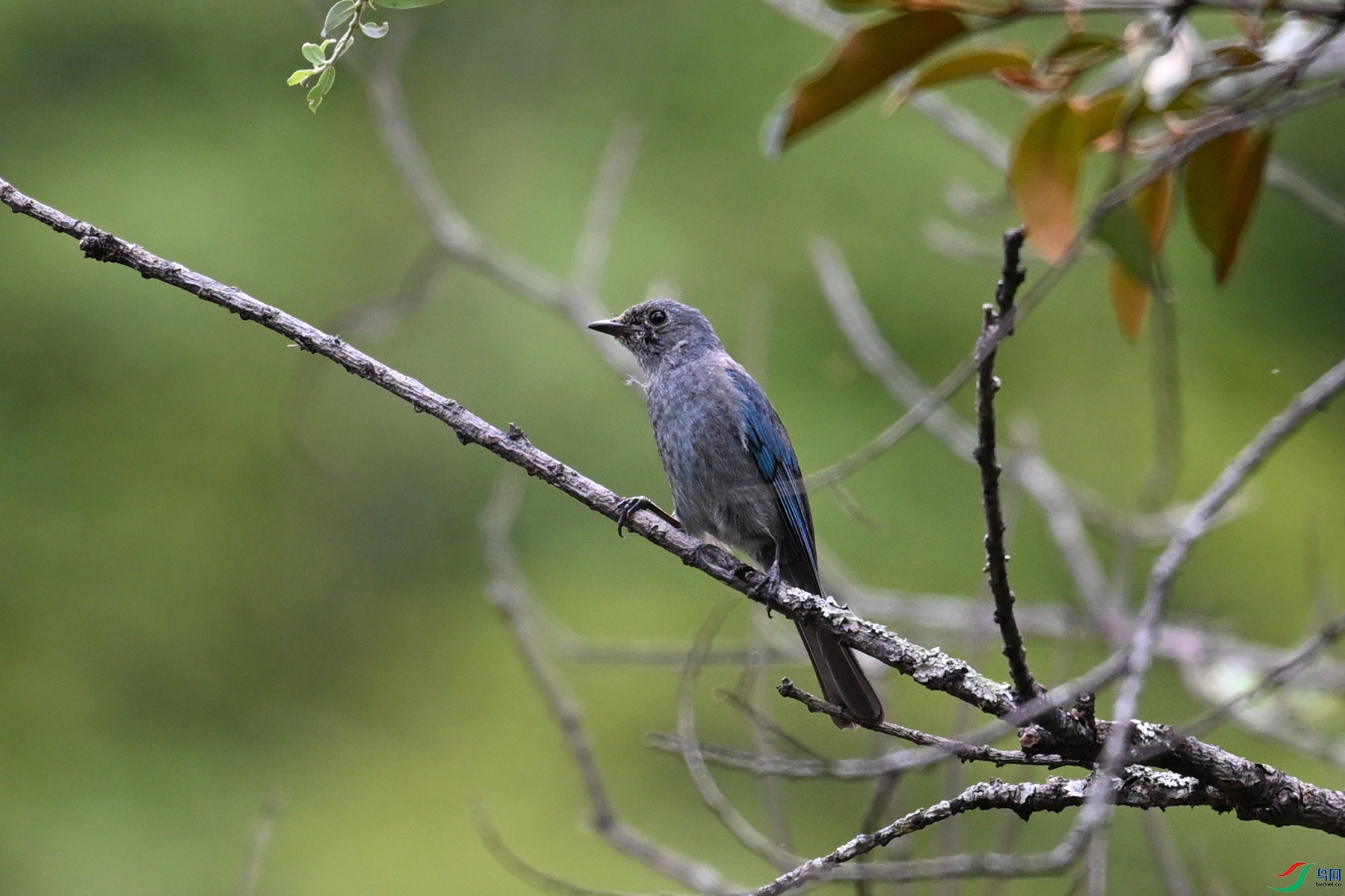 DSC_3021.JPG