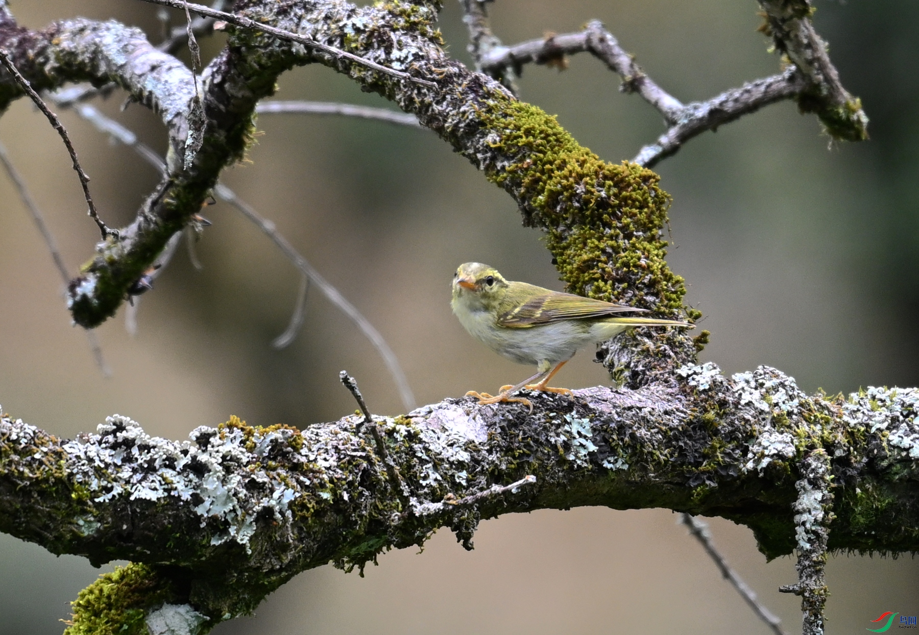 DSC_2984.JPG
