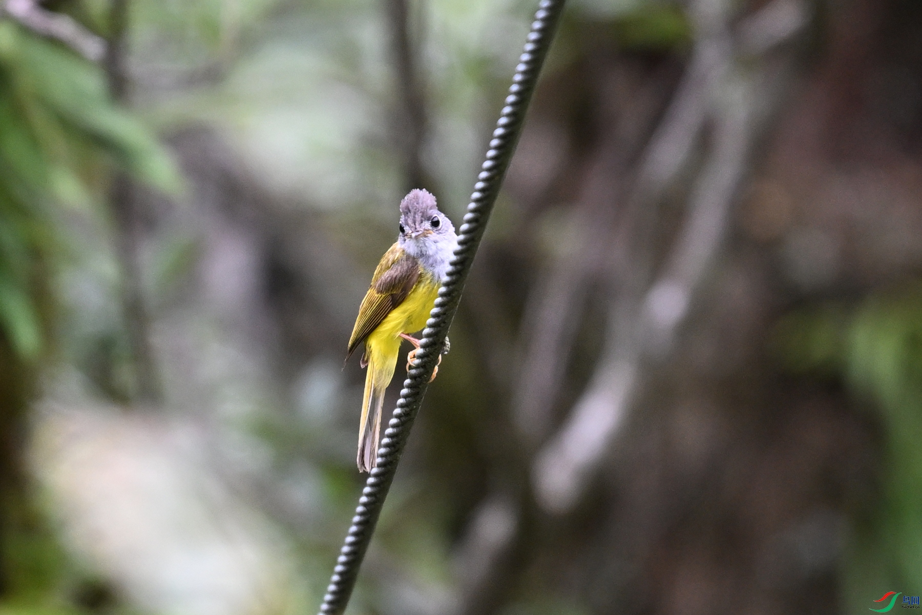 DSC_3006.JPG