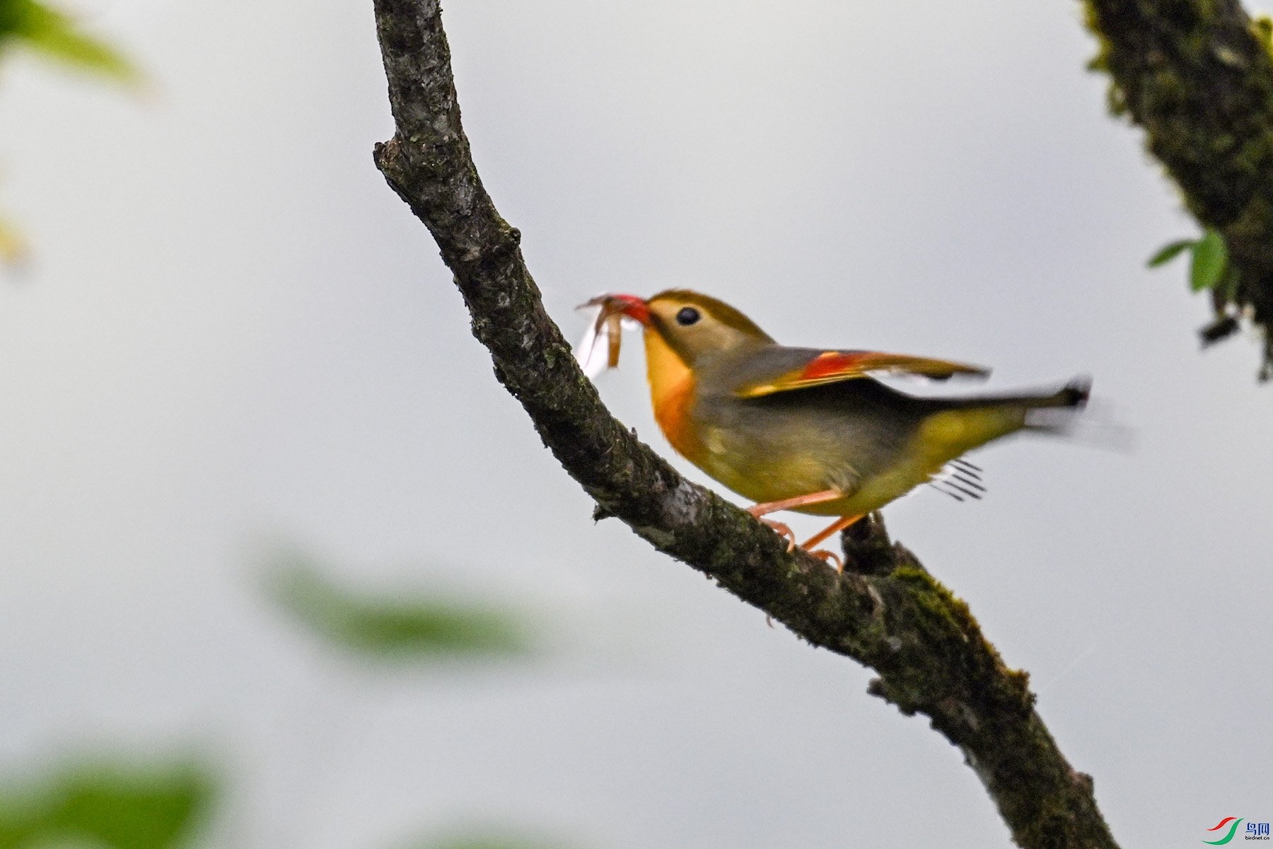 DSC_2868.JPG