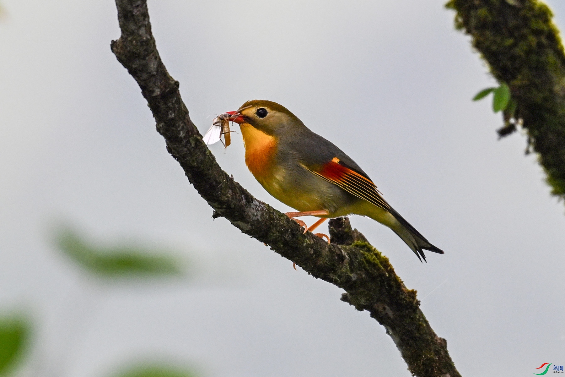 DSC_2870.JPG