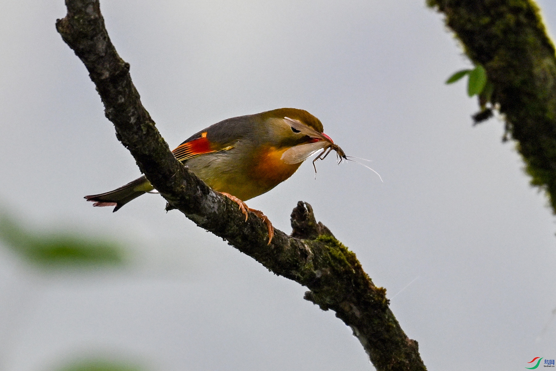 DSC_2873.JPG