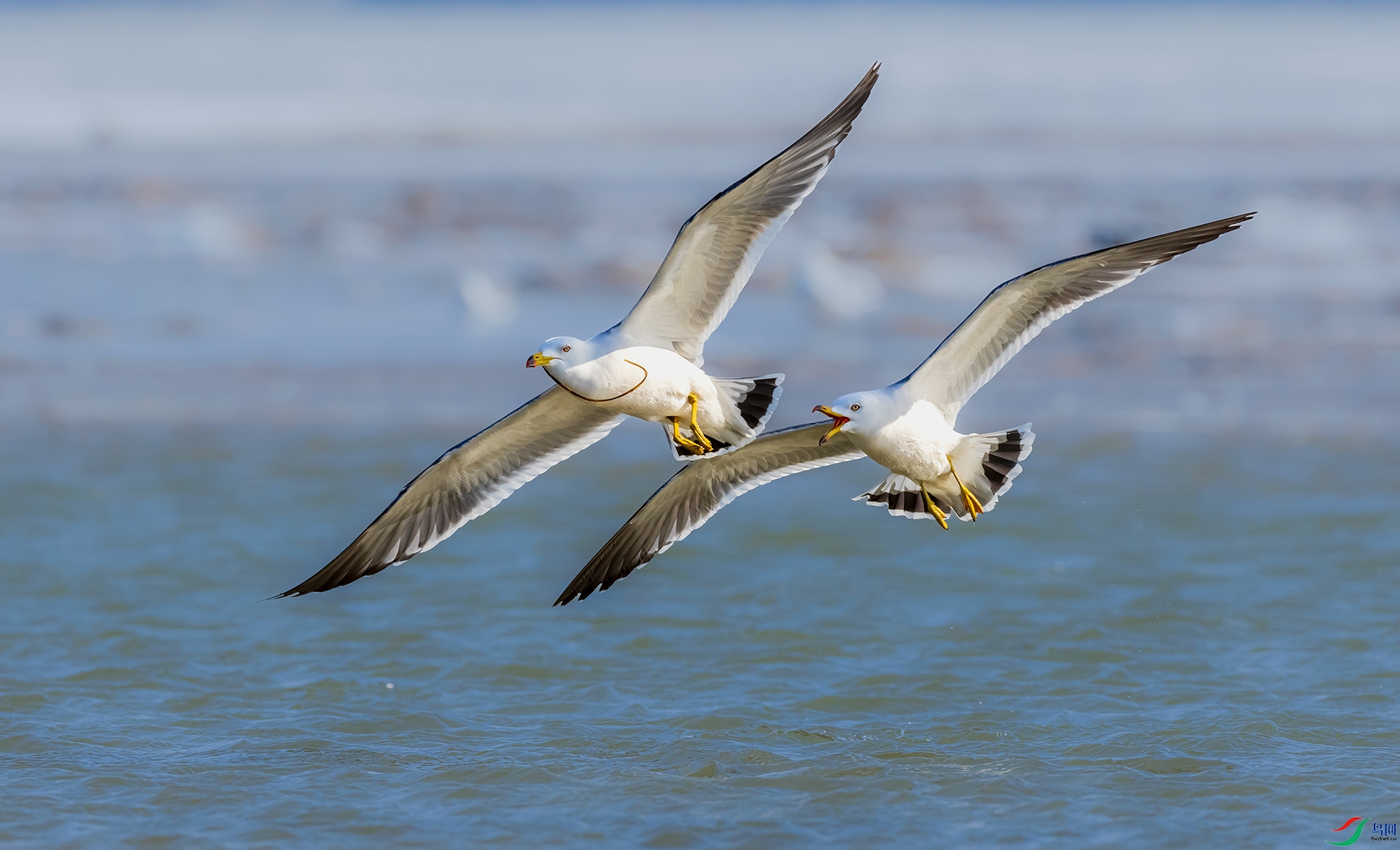 178A9371--1.jpg
