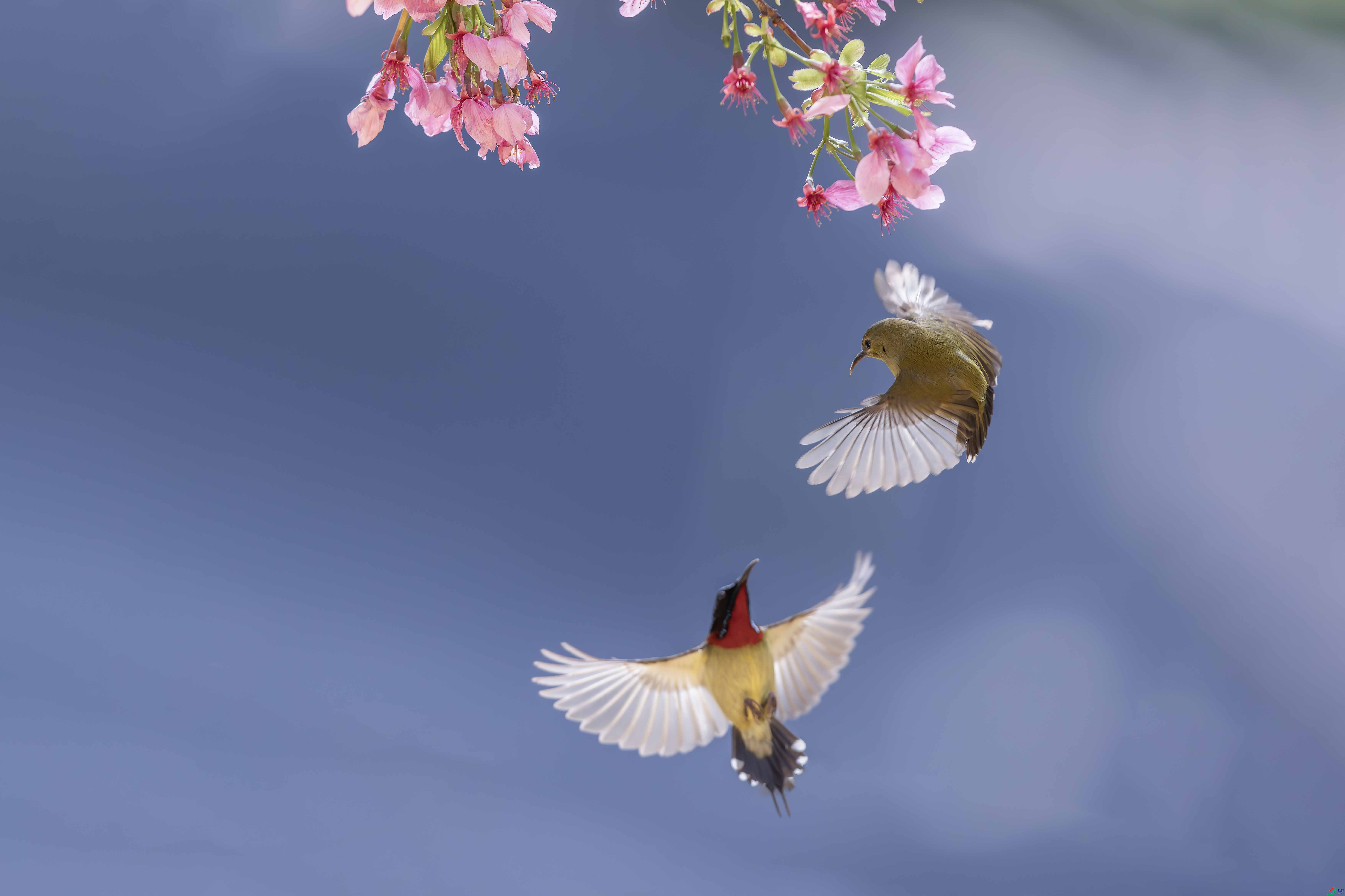 238A7701 ���� 2.jpg