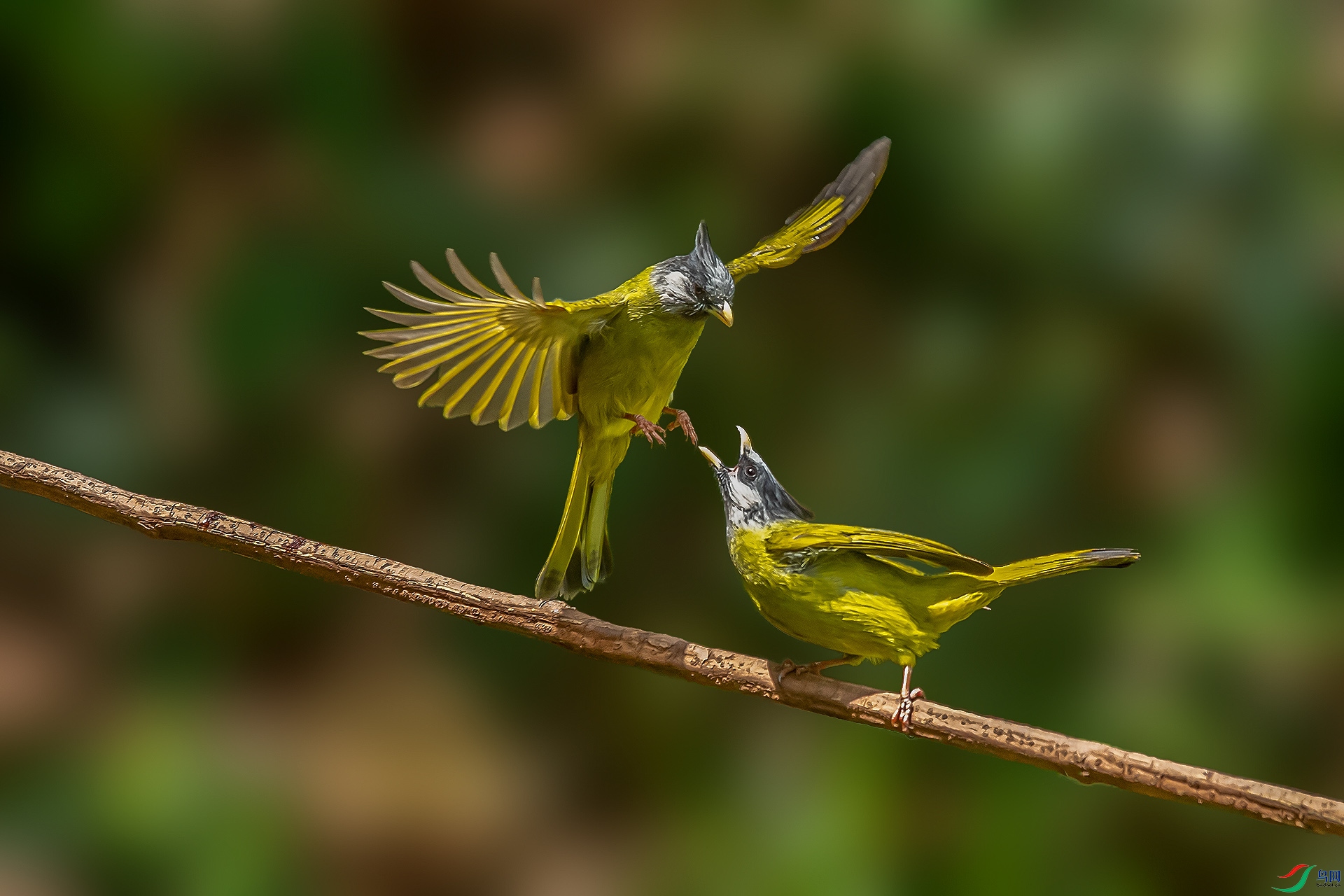 DSC_1140.jpg