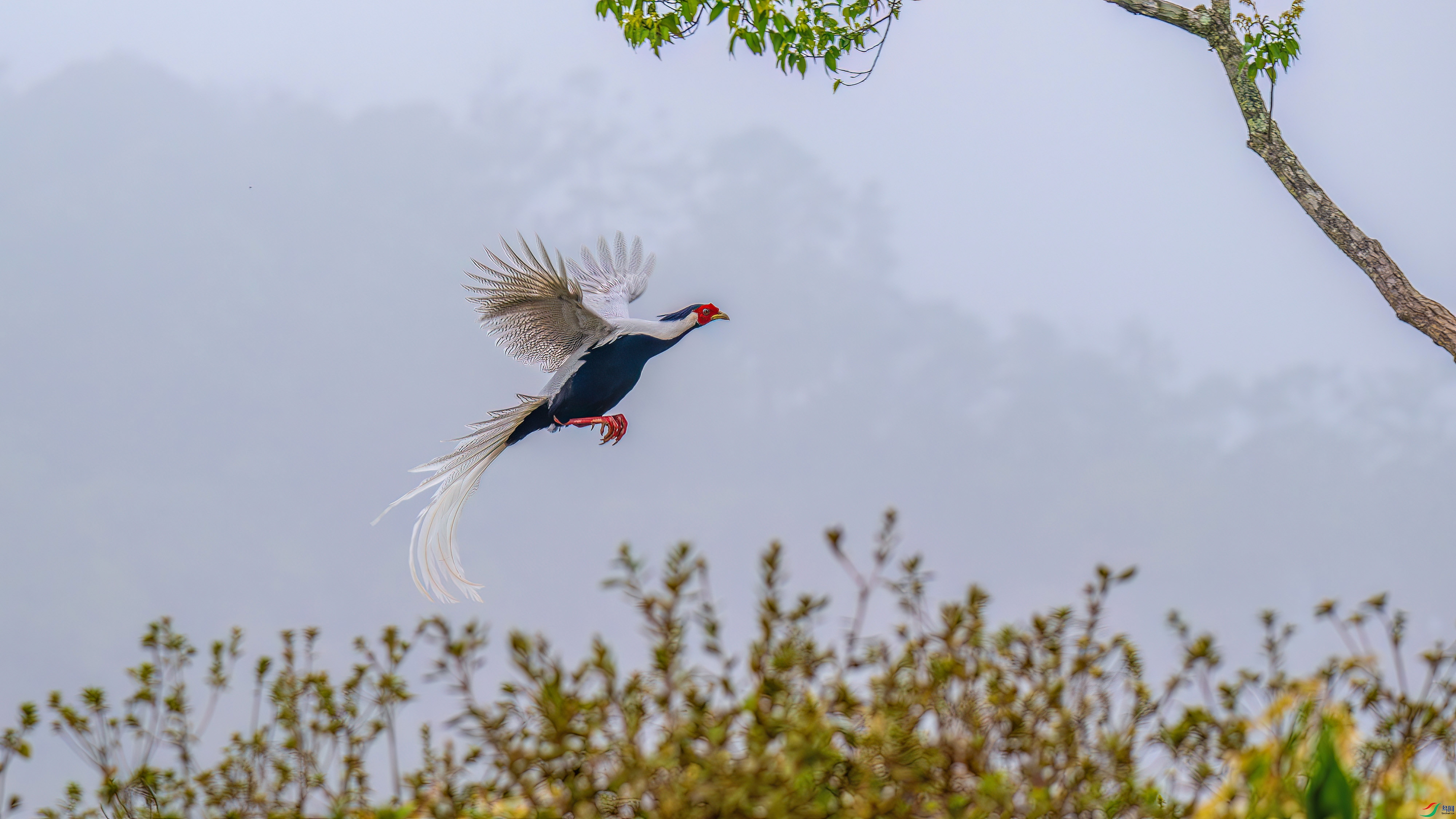 DSC_9489.jpg
