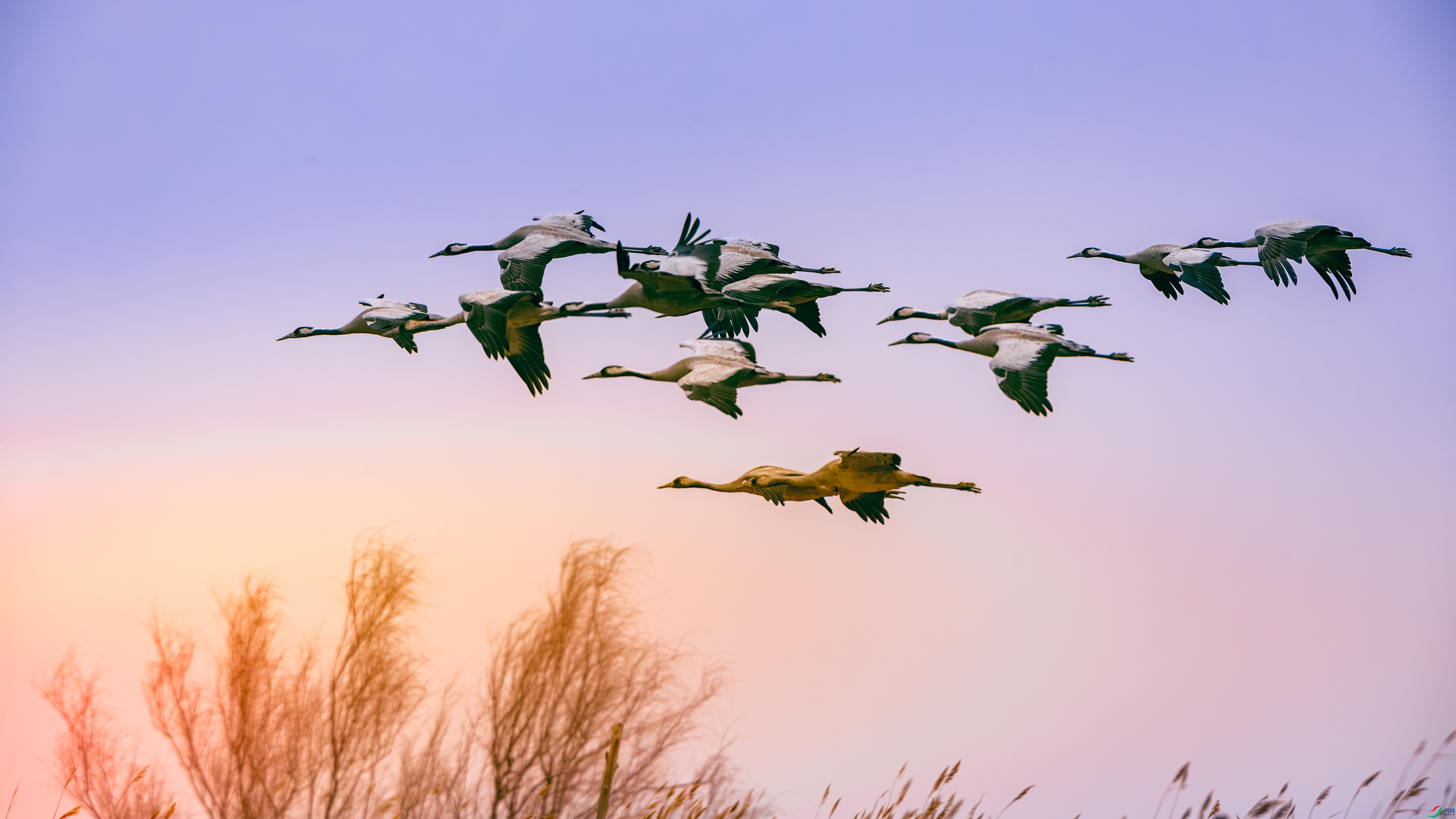 ��Į��Ӱ 333.jpg