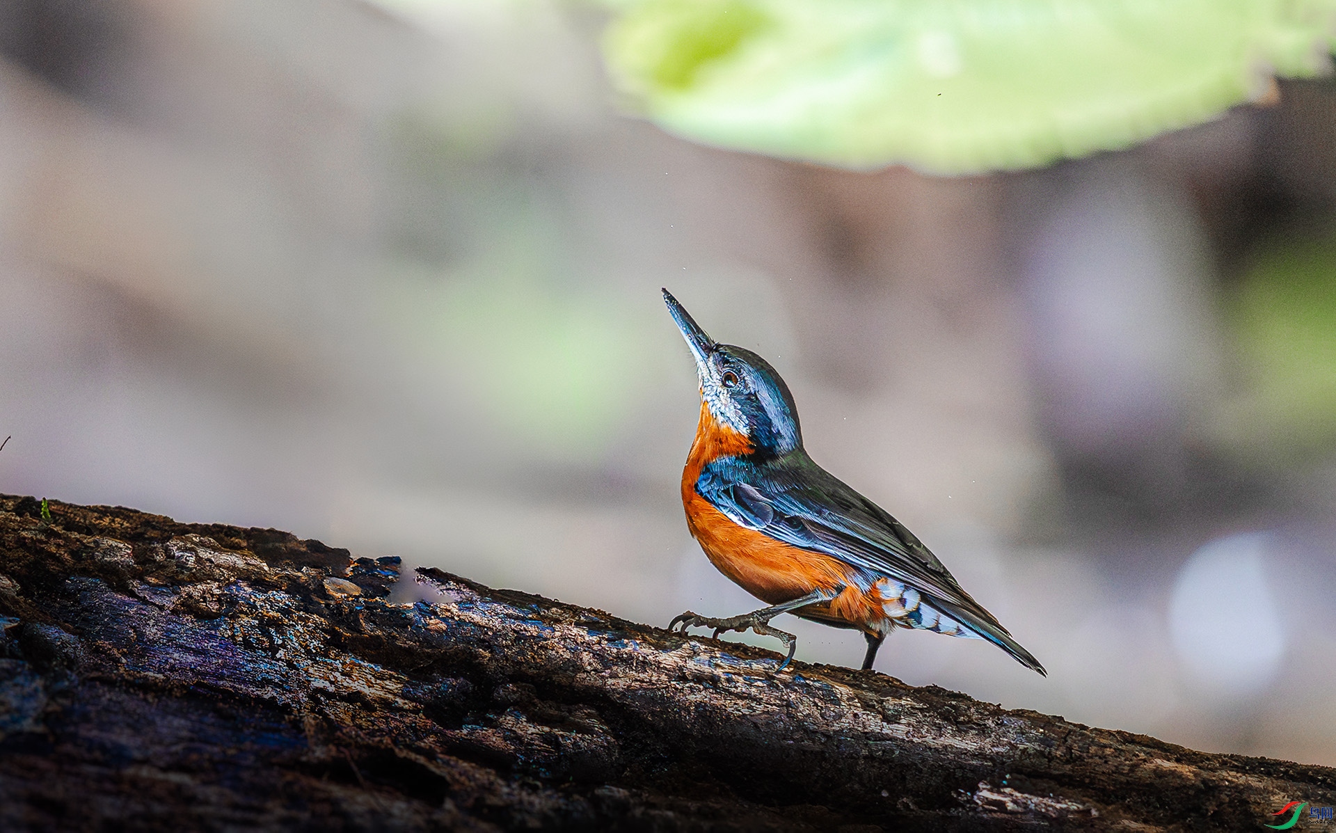 6895 ����.jpg