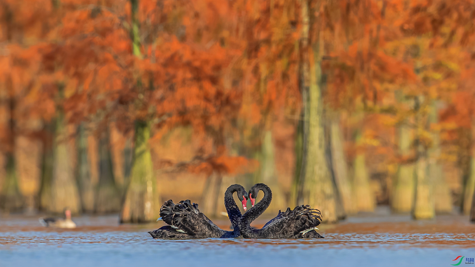 _35I7499 ����.jpg