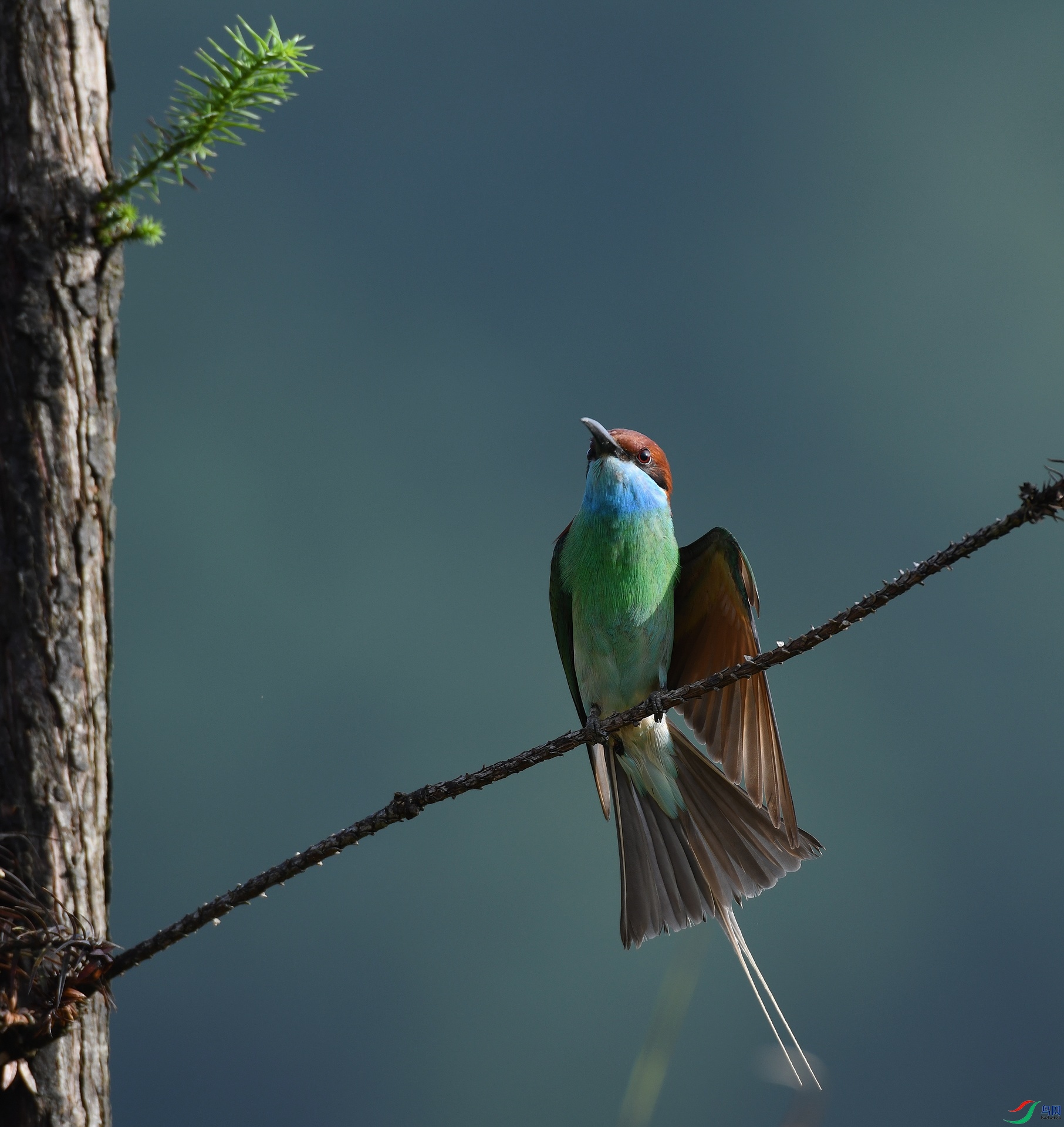 DSC_9467.jpg