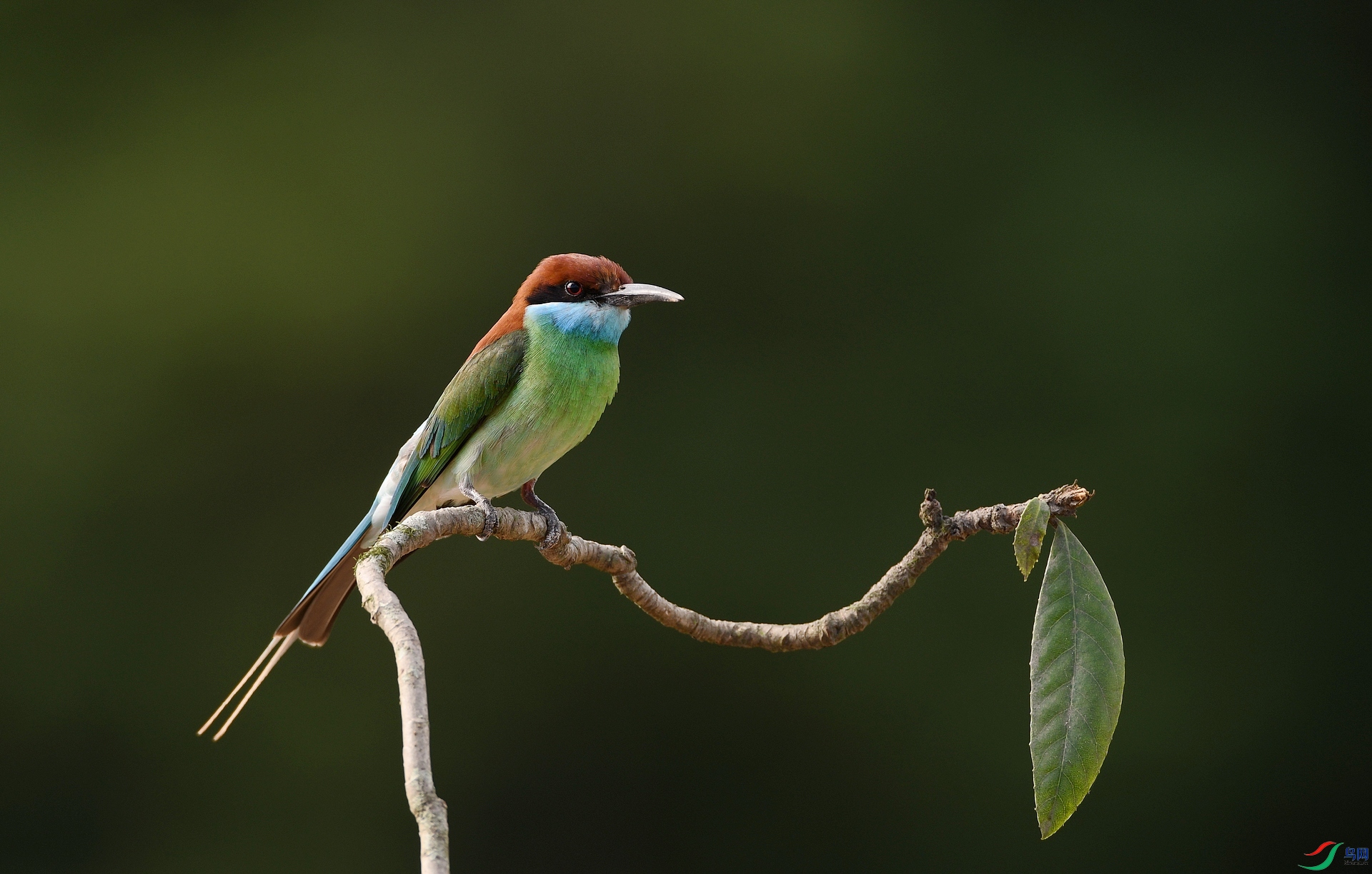 DSC_9283.jpg