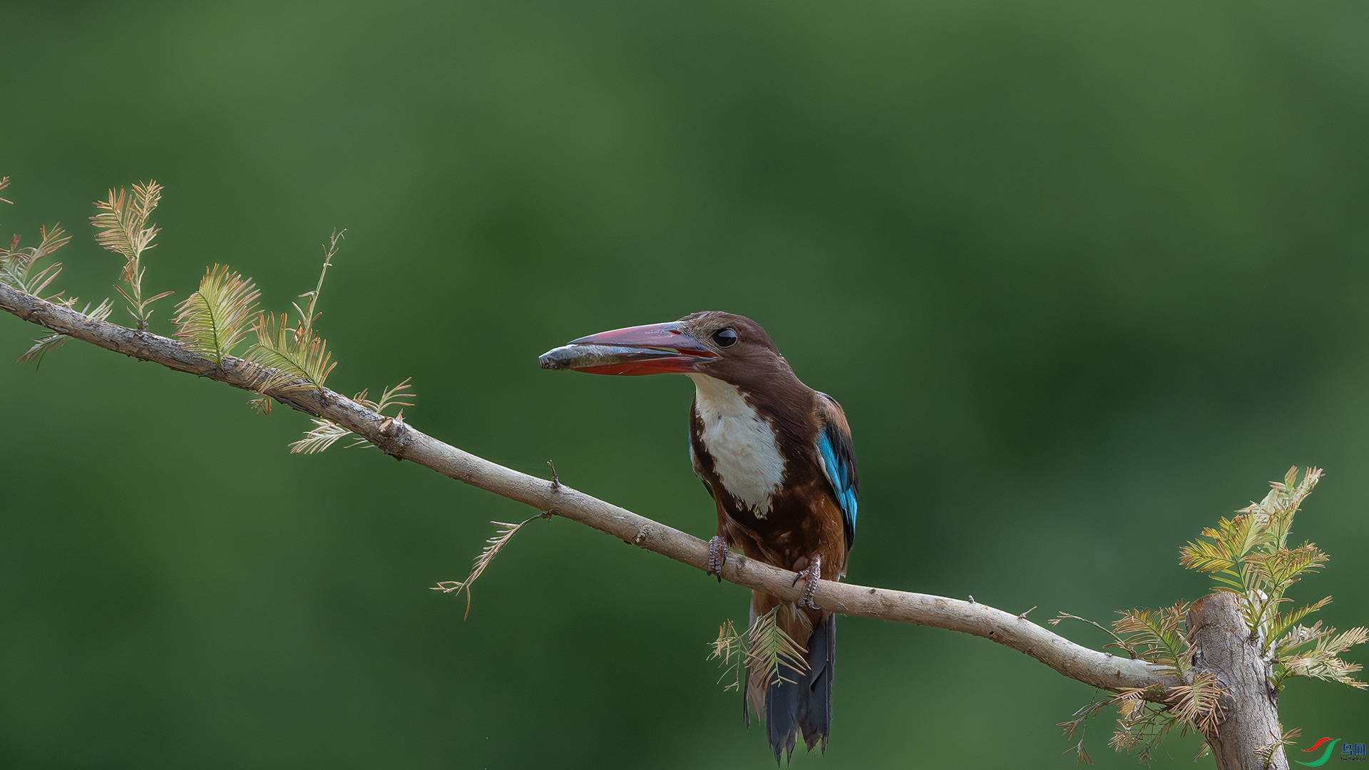 DSC_5767-����ǿ-NR ����.jpg