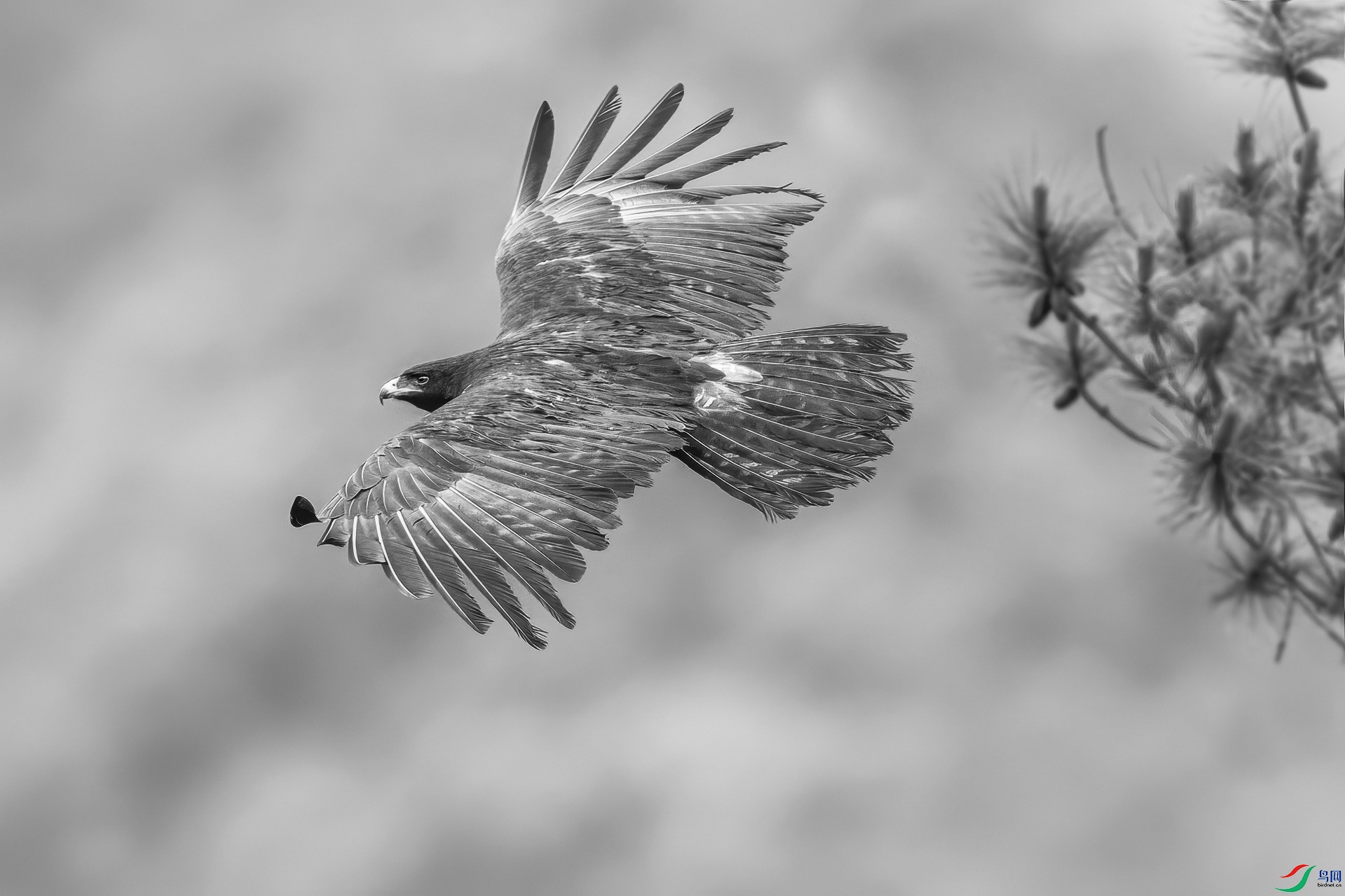 0_D5D3214.jpg