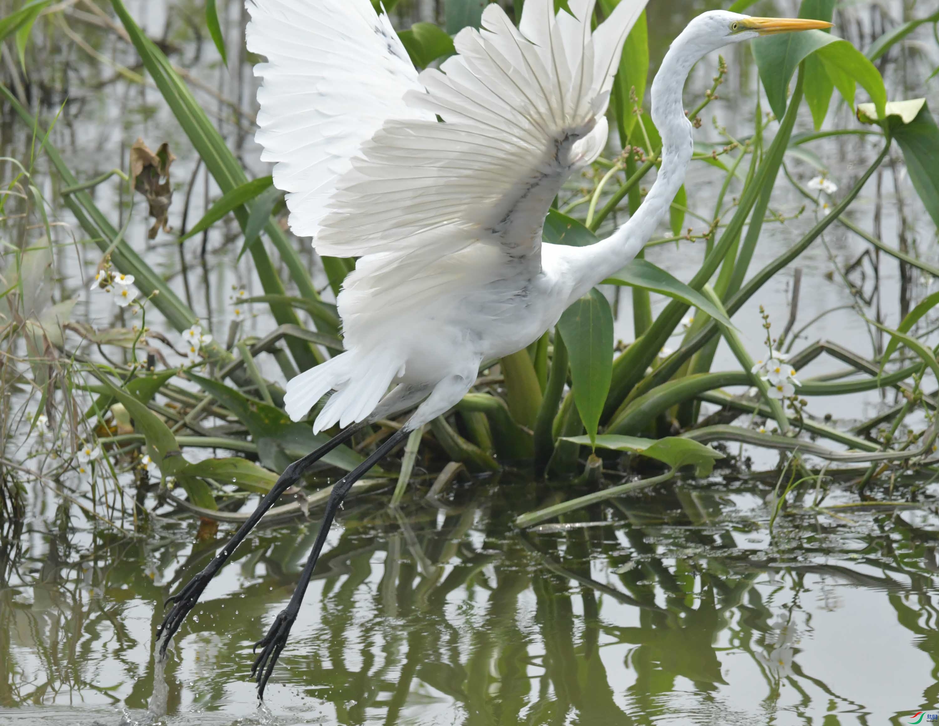 DSC_7026.JPG