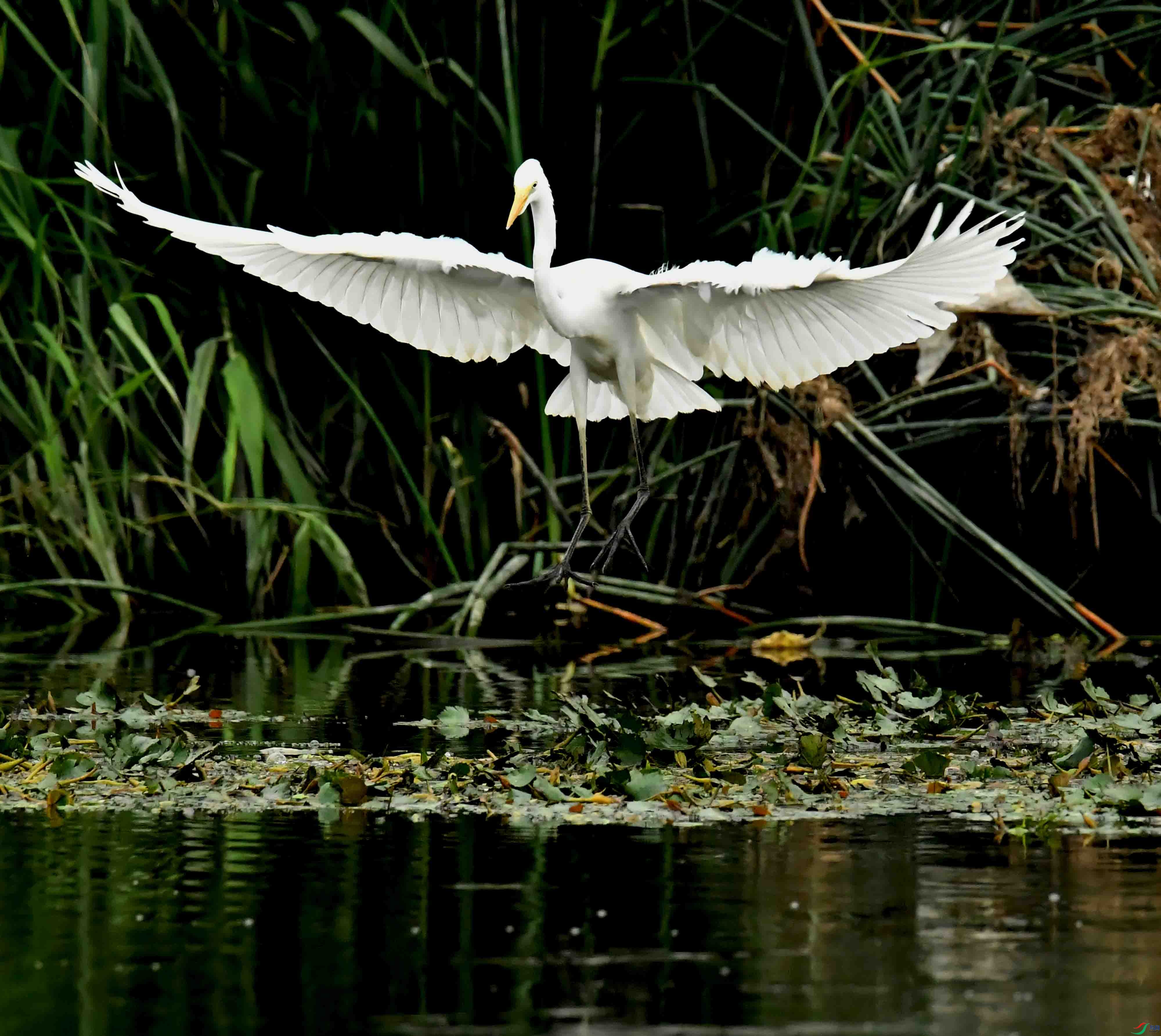 DSC_6829.JPG