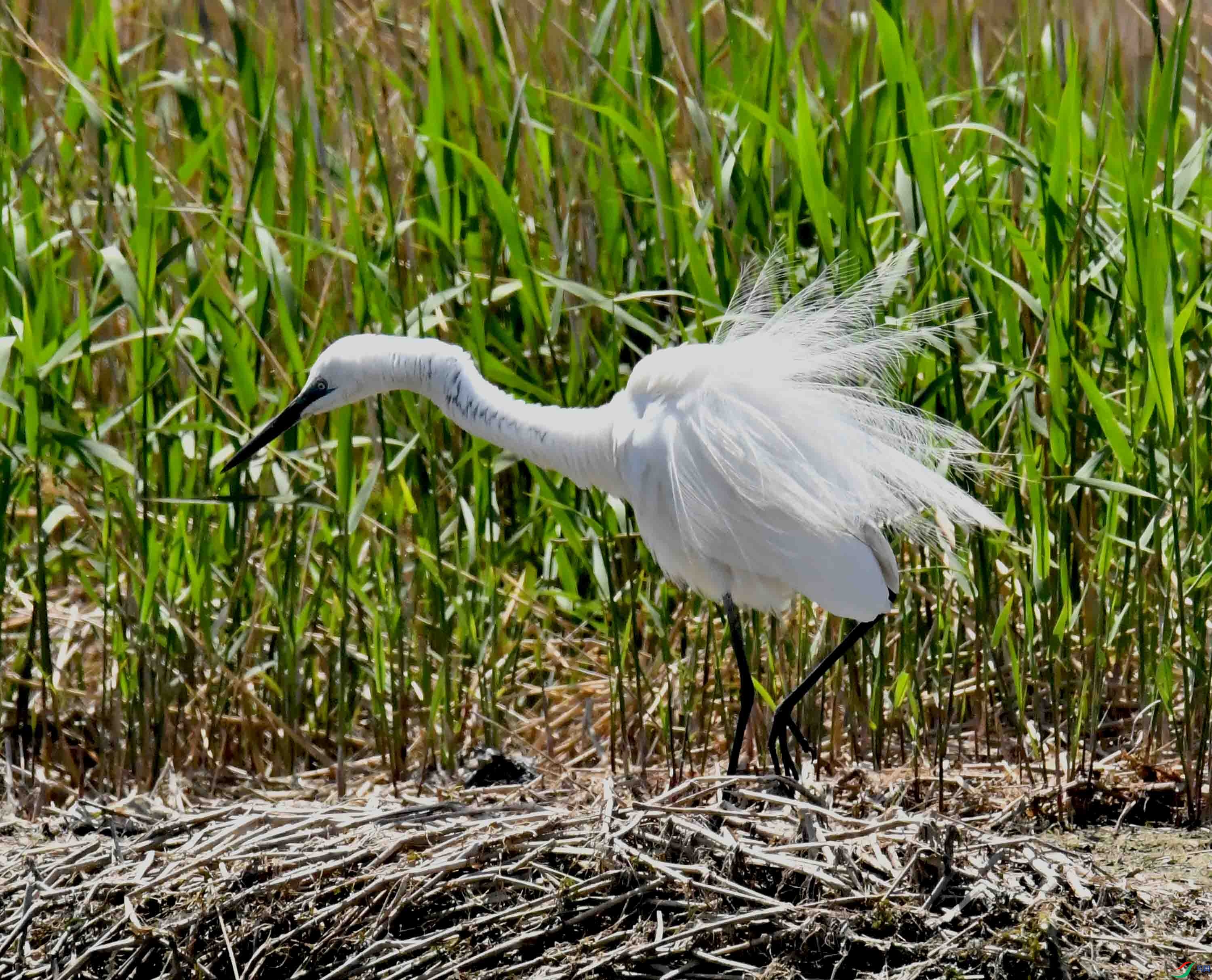 DSC_7064.JPG