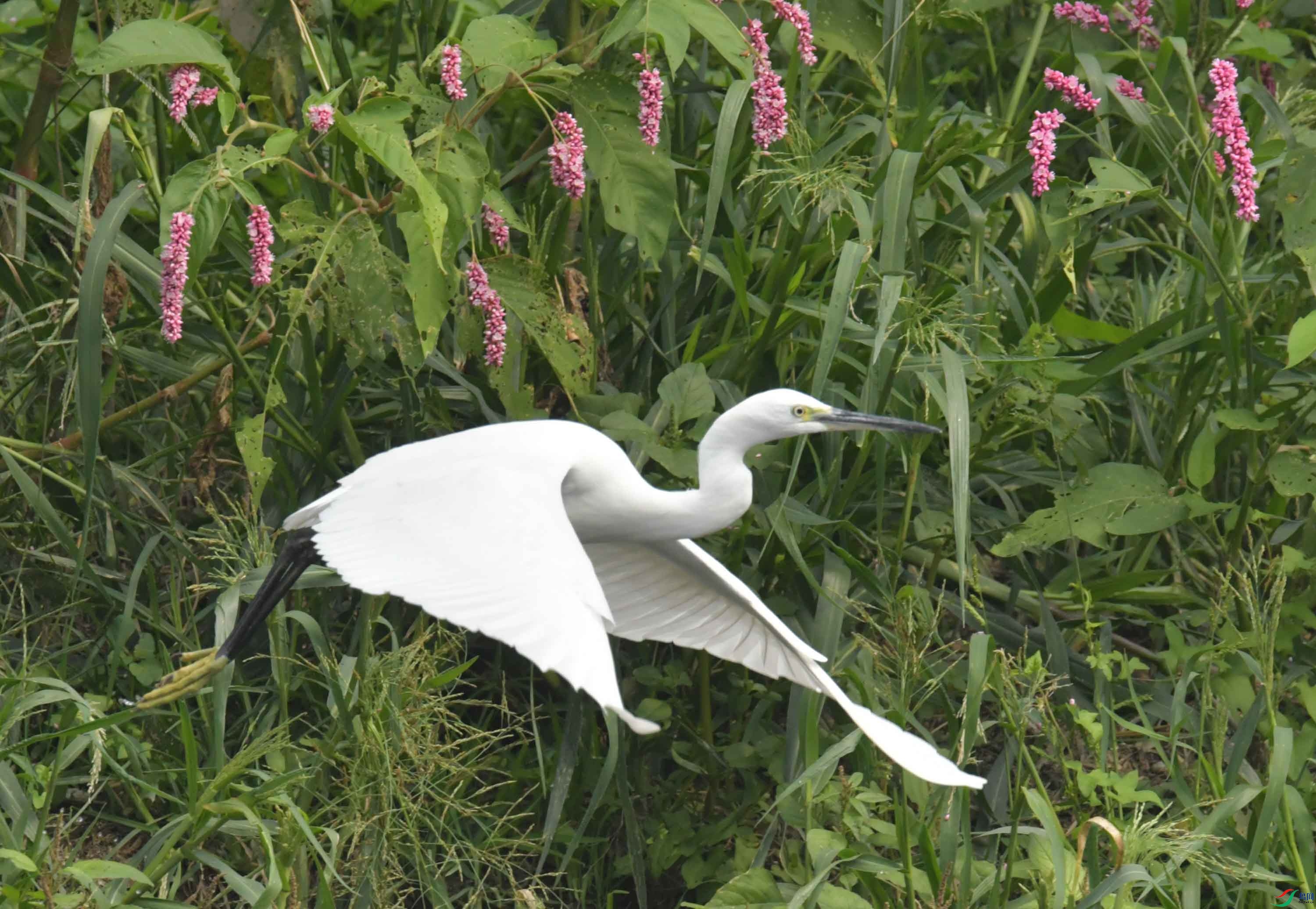 DSC_7035.JPG