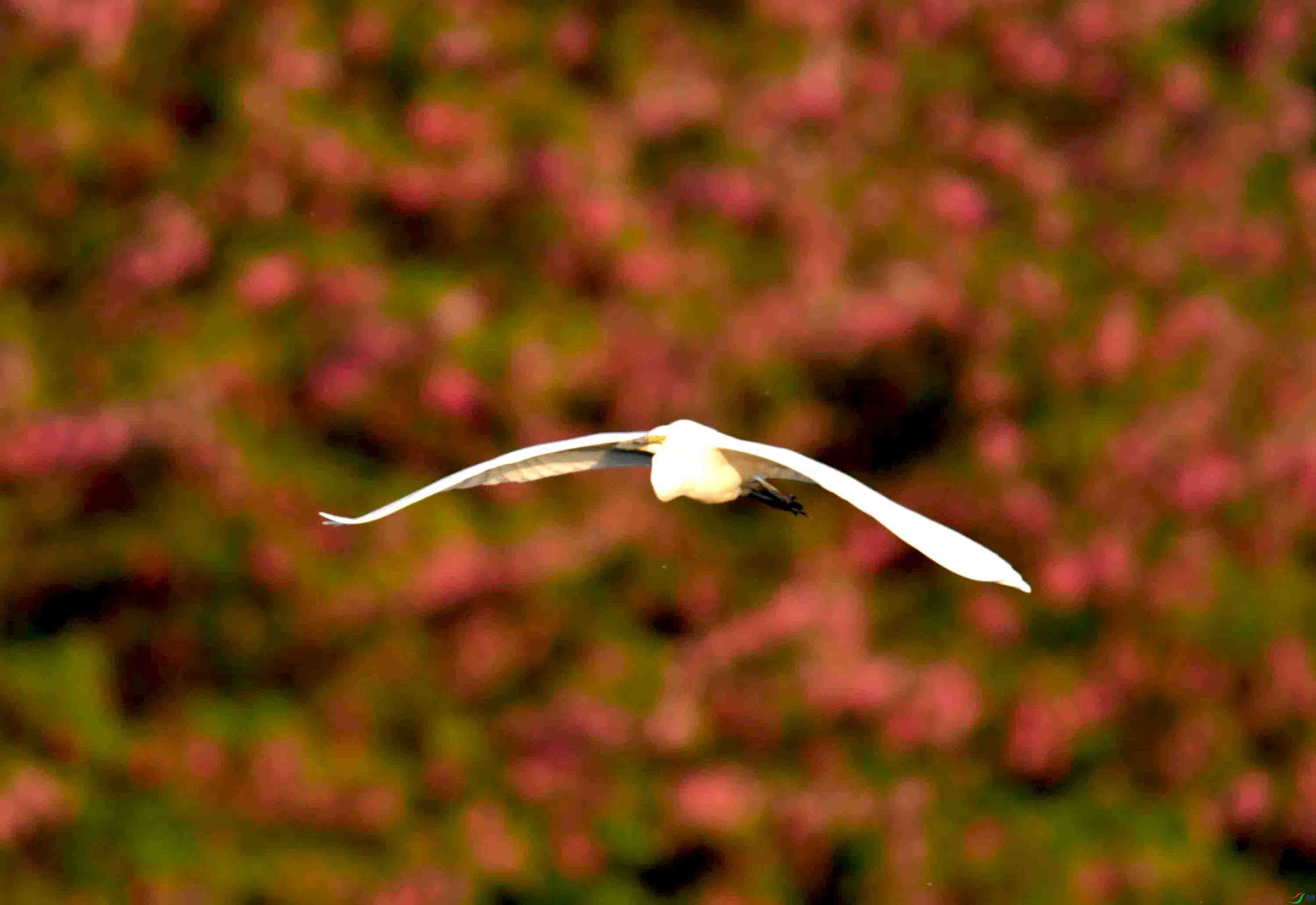 DSC_7253.JPG