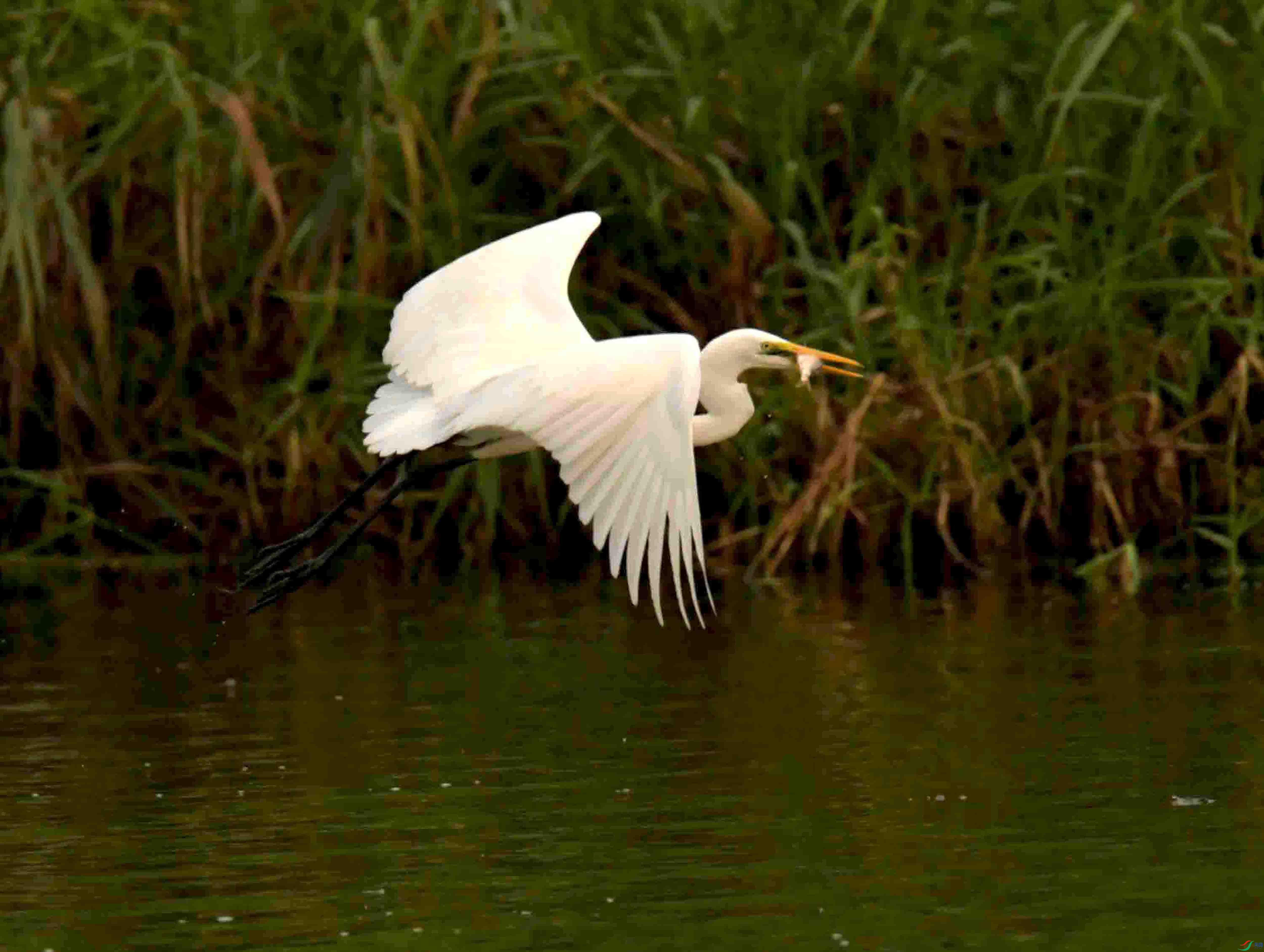 DSC_7407.JPG