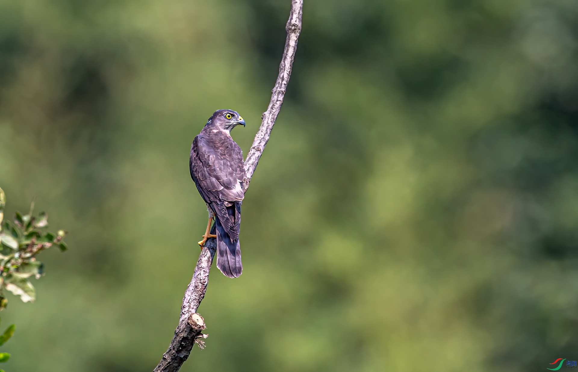 DSC_7429-11.jpg
