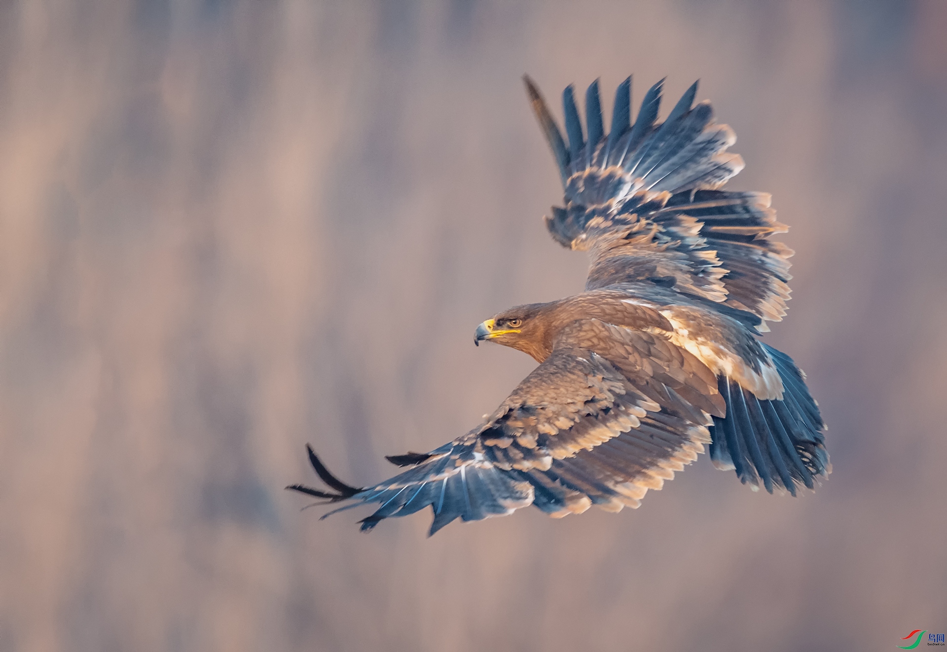DSC_6114-1.jpg
