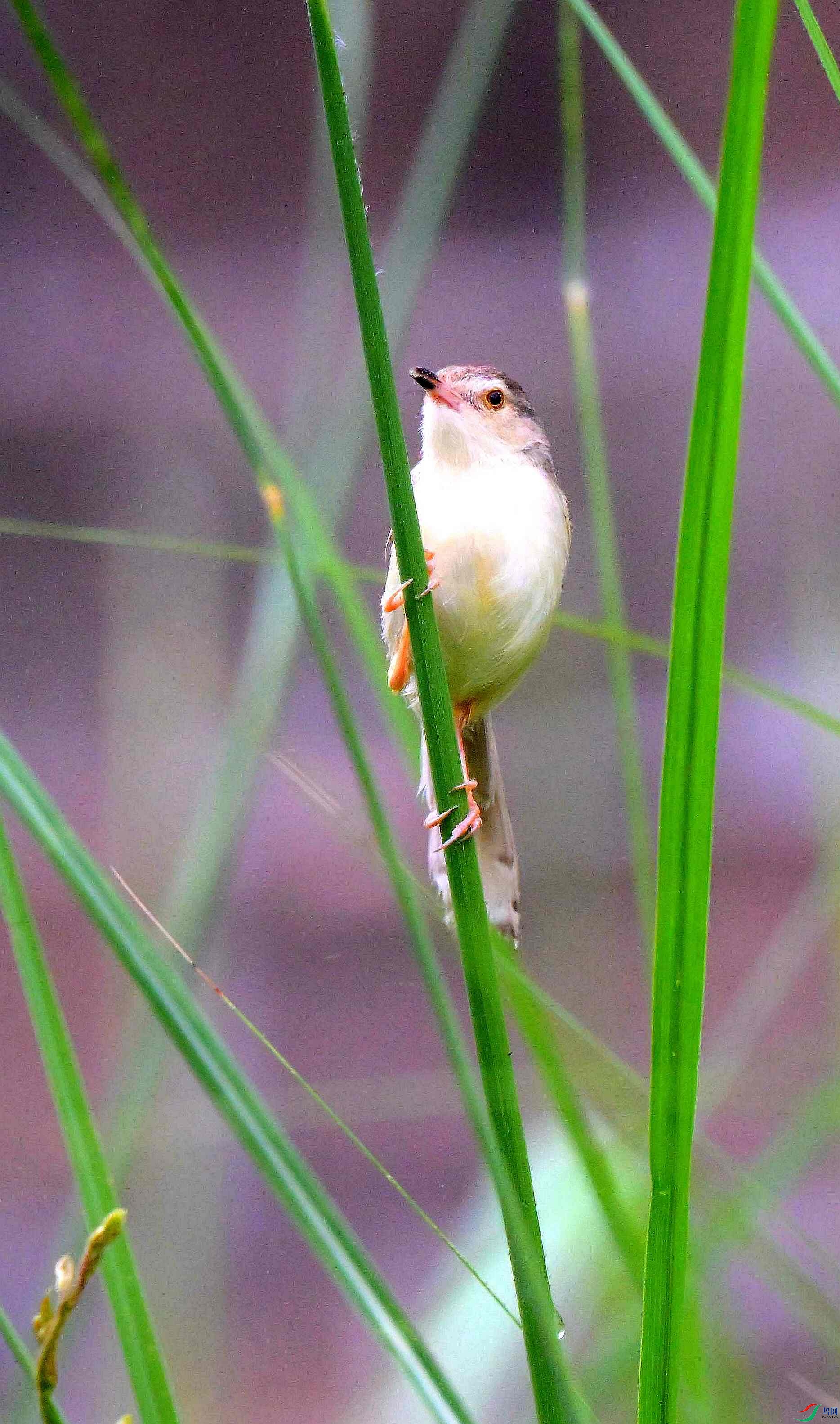 DSC_6904.jpg