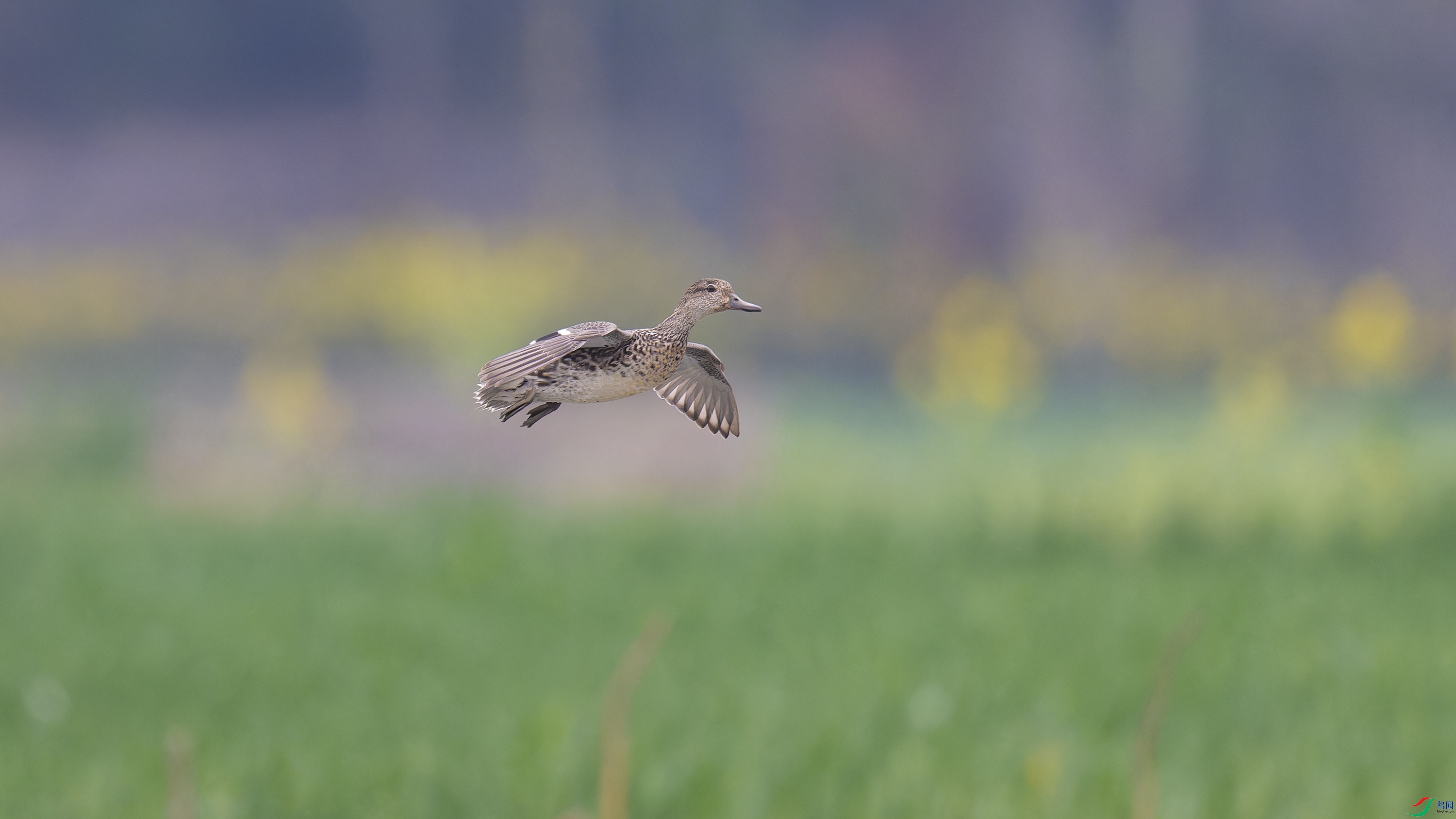 DSC_9476_DxO.jpg