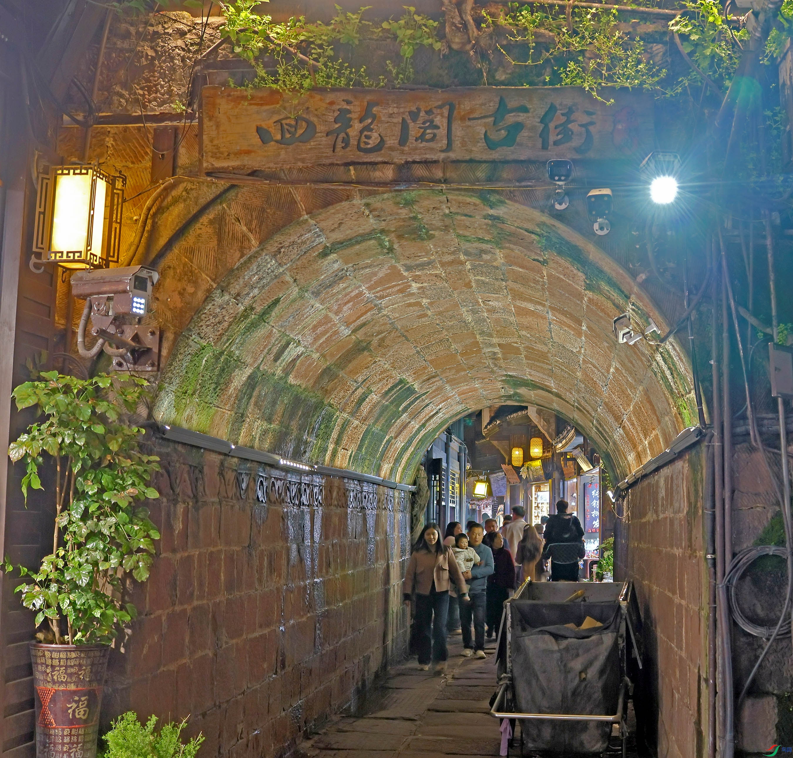 2G9A3222.JPG