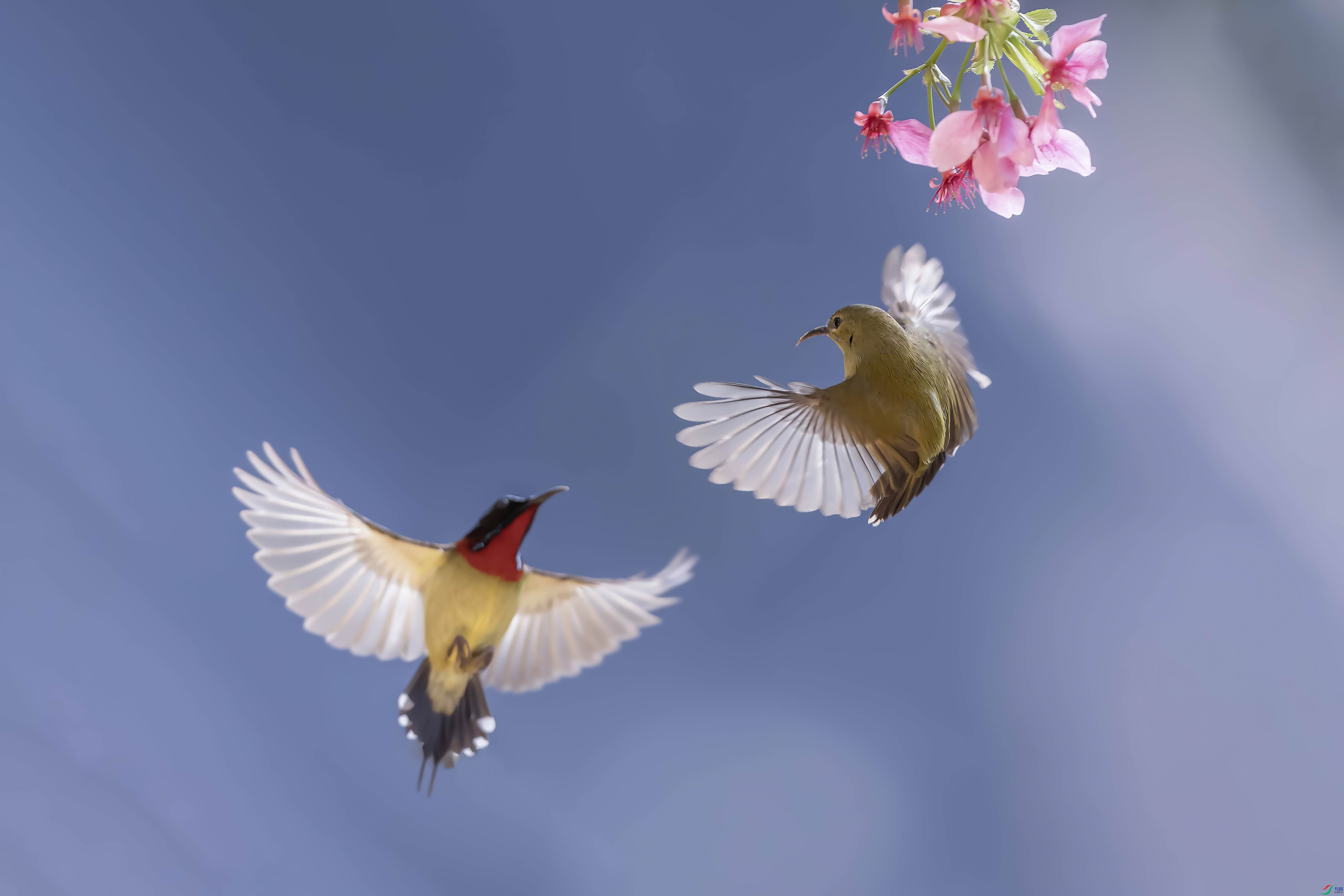 238A7701 ���� 3.jpg