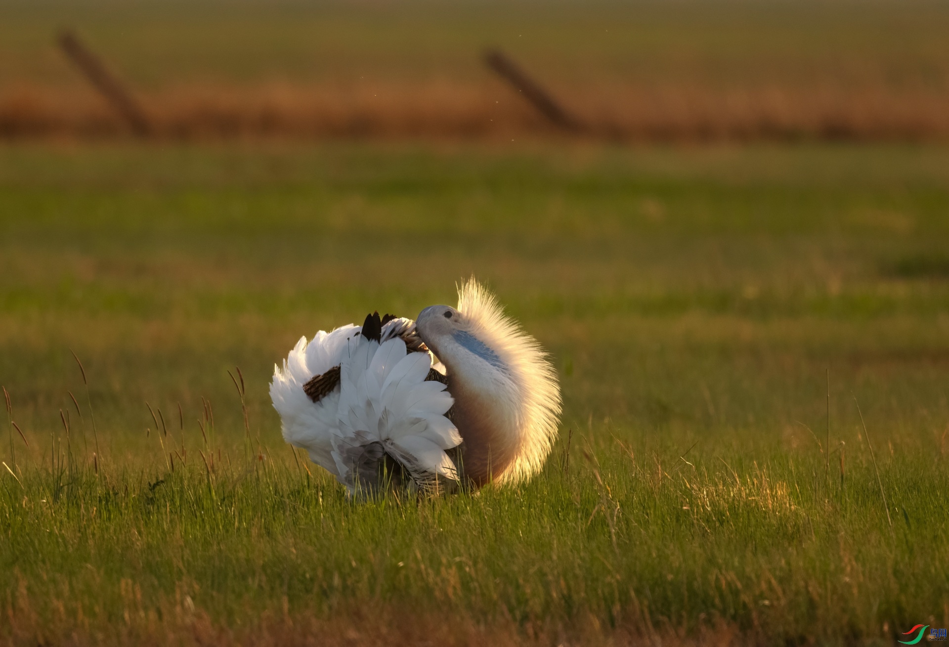 _DSC2269 ����-01.jpeg