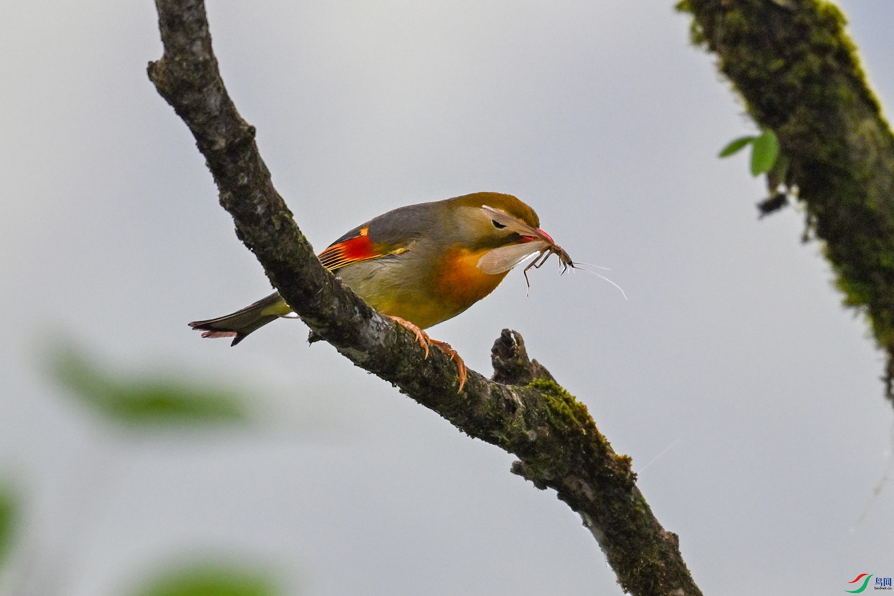 DSC_2874.JPG