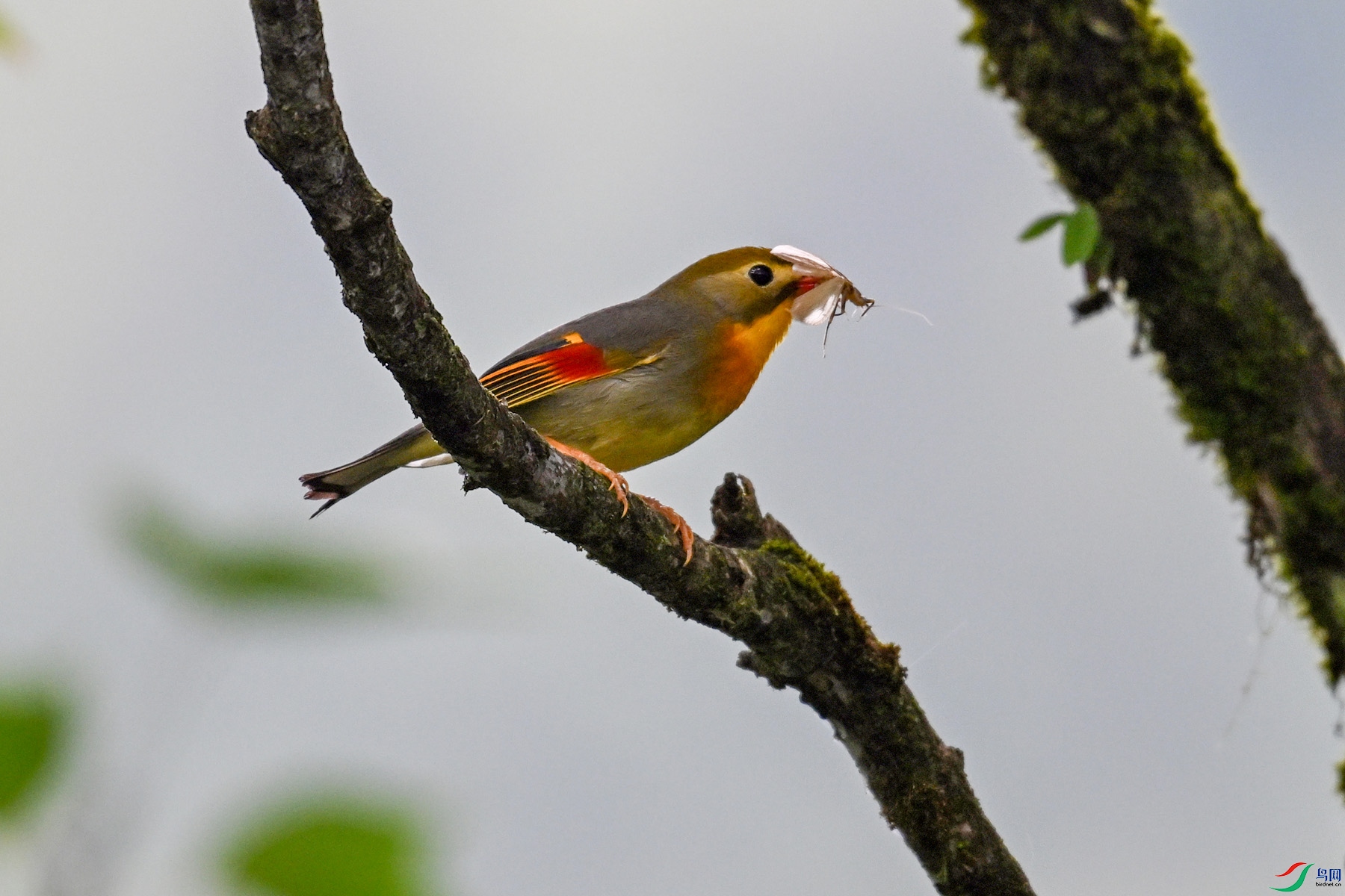 DSC_2877.JPG