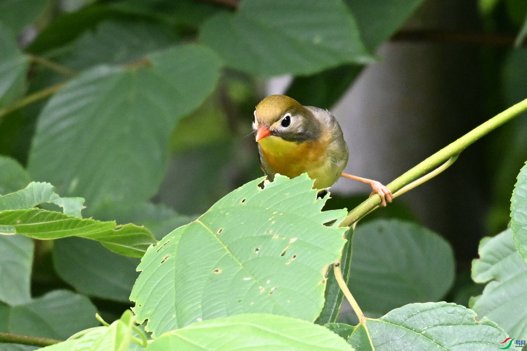 DSC_2901.JPG