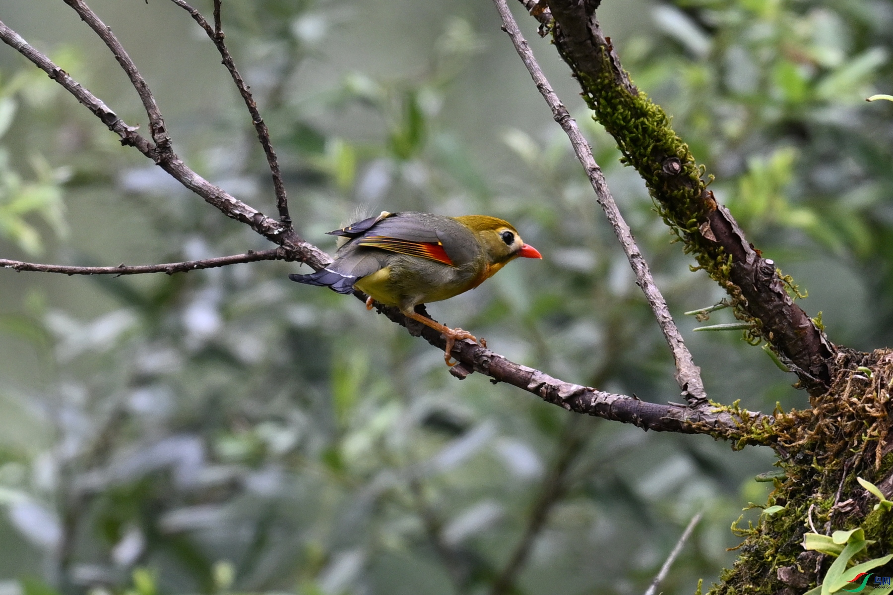 DSC_3005.JPG