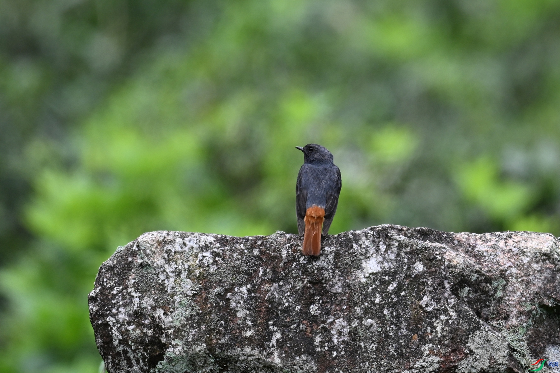 DSC_2905.JPG