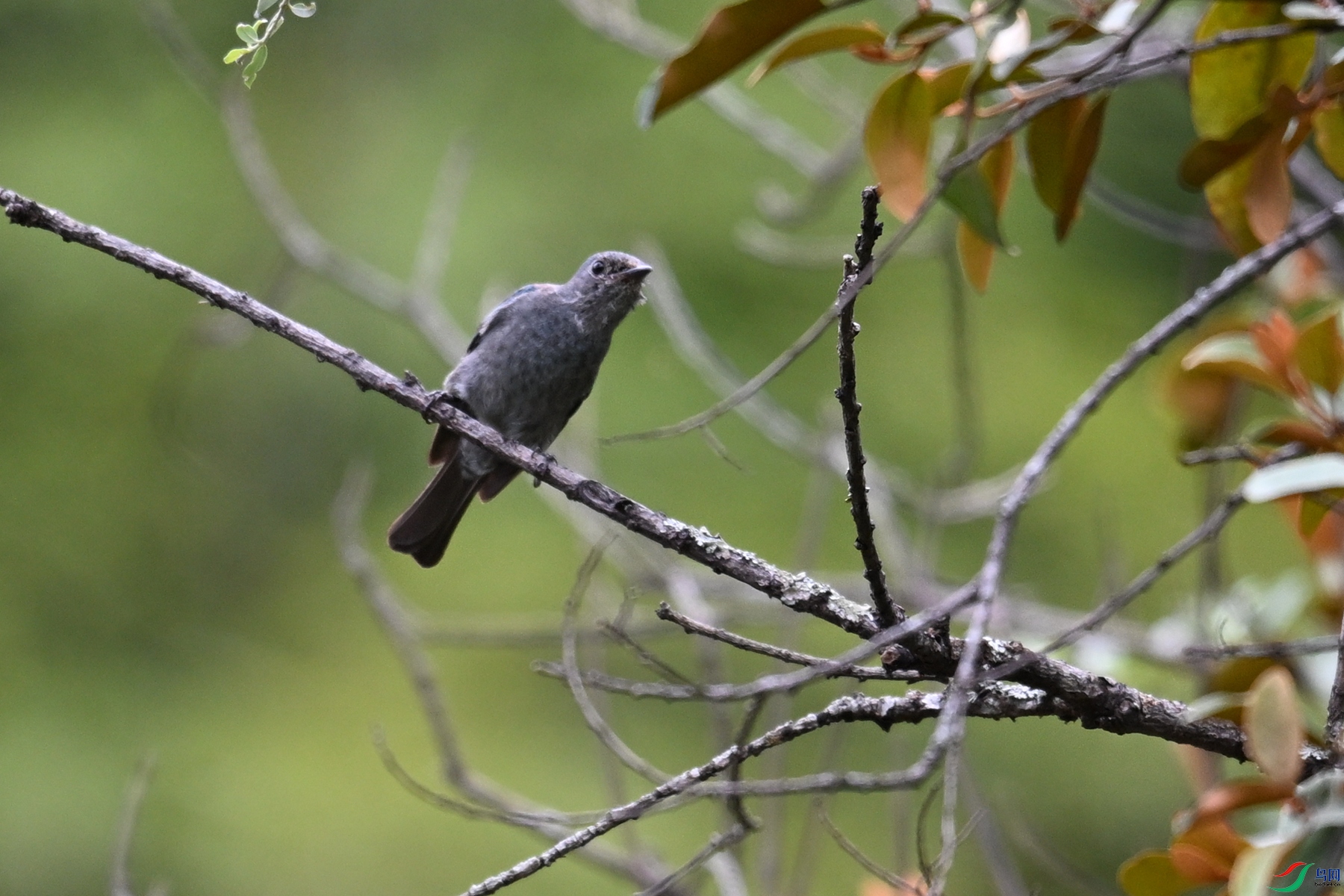 DSC_3012.JPG
