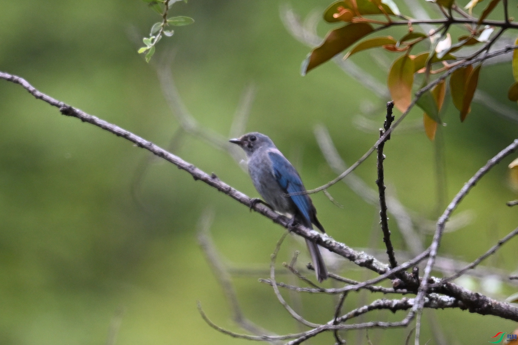 DSC_3018.JPG