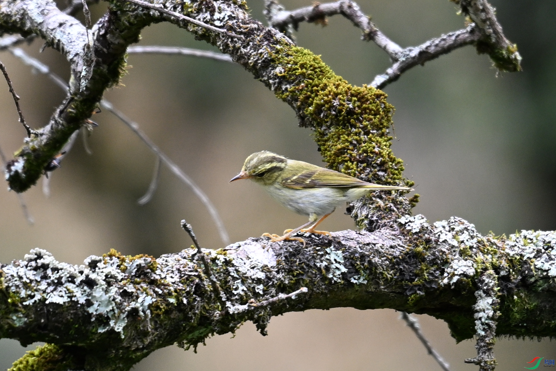 DSC_2982.JPG