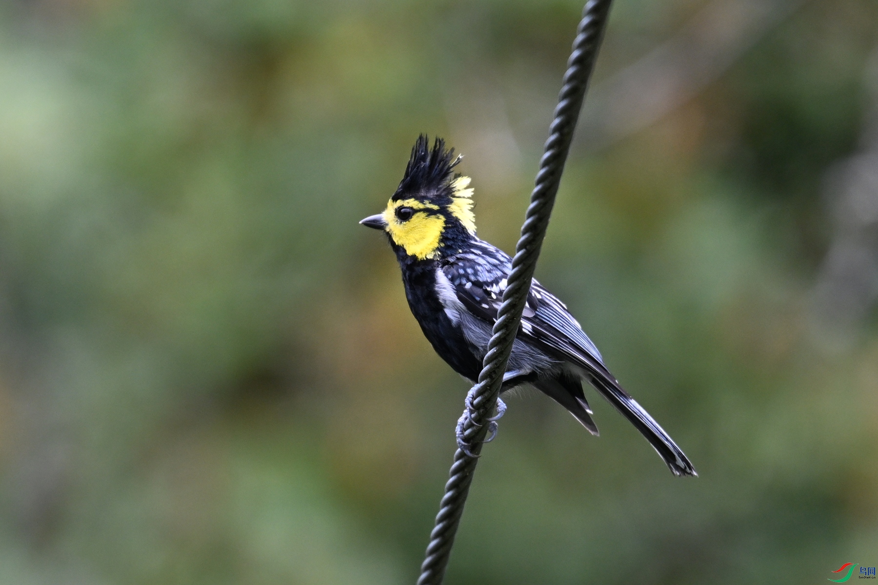 DSC_2992.JPG