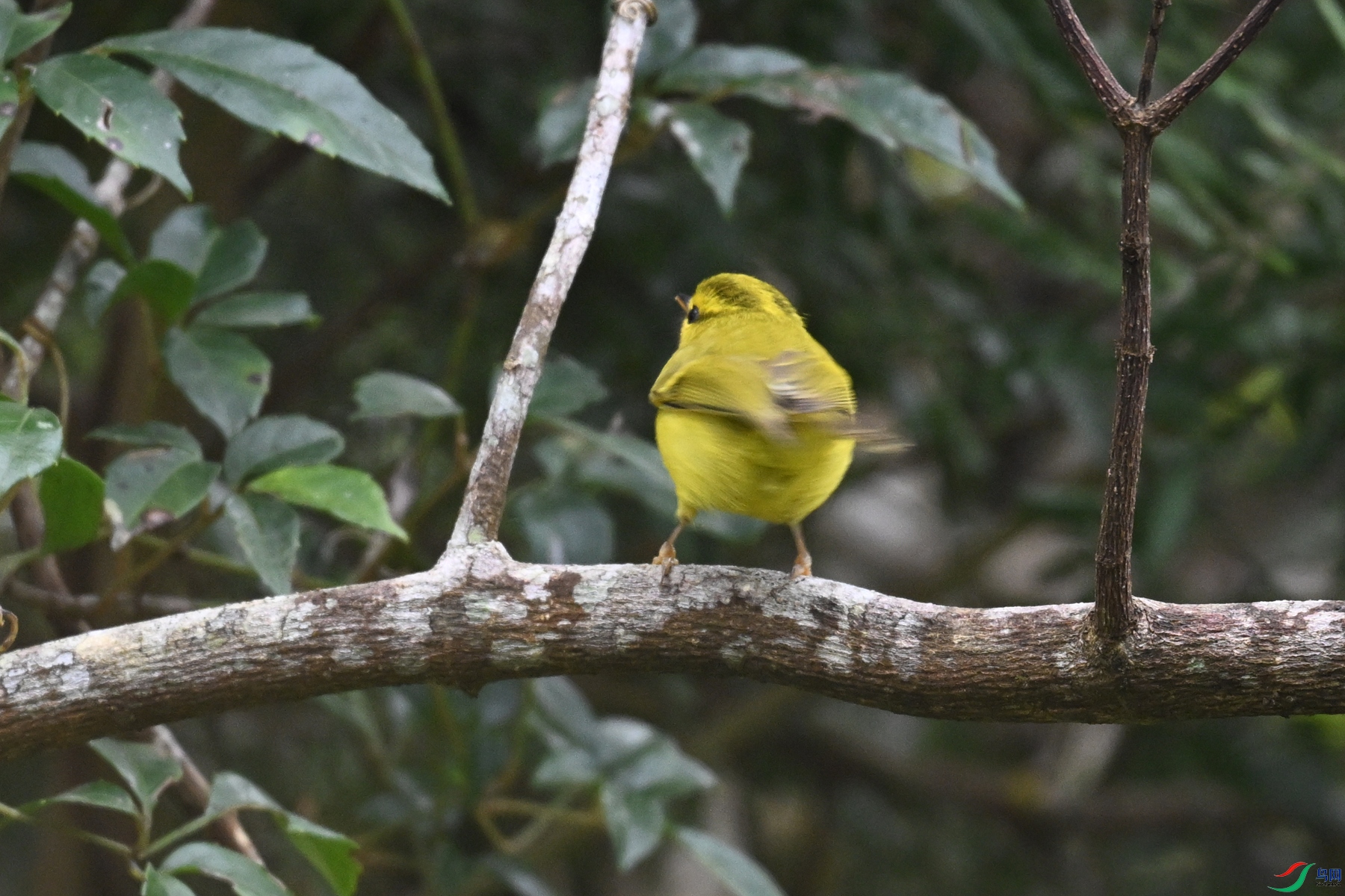 DSC_7055.JPG