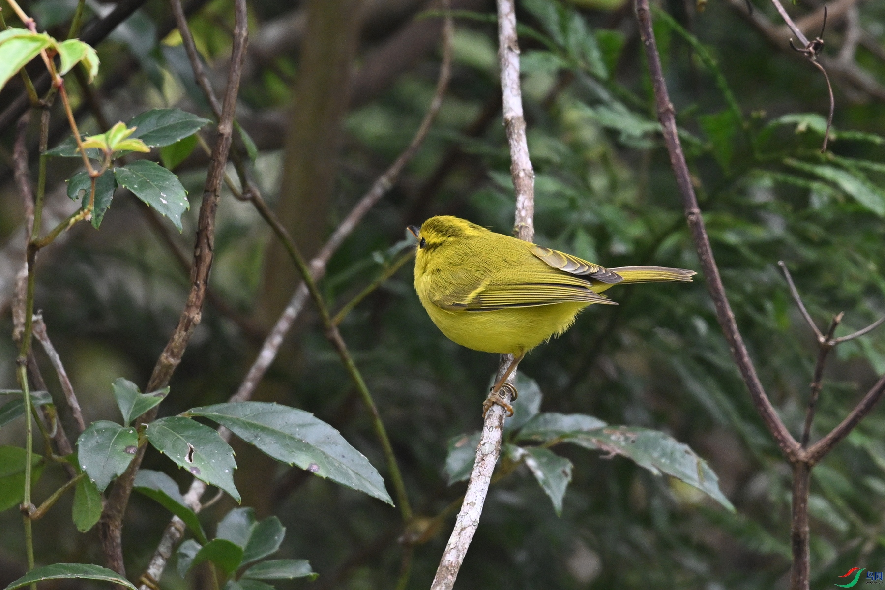 DSC_7086.JPG
